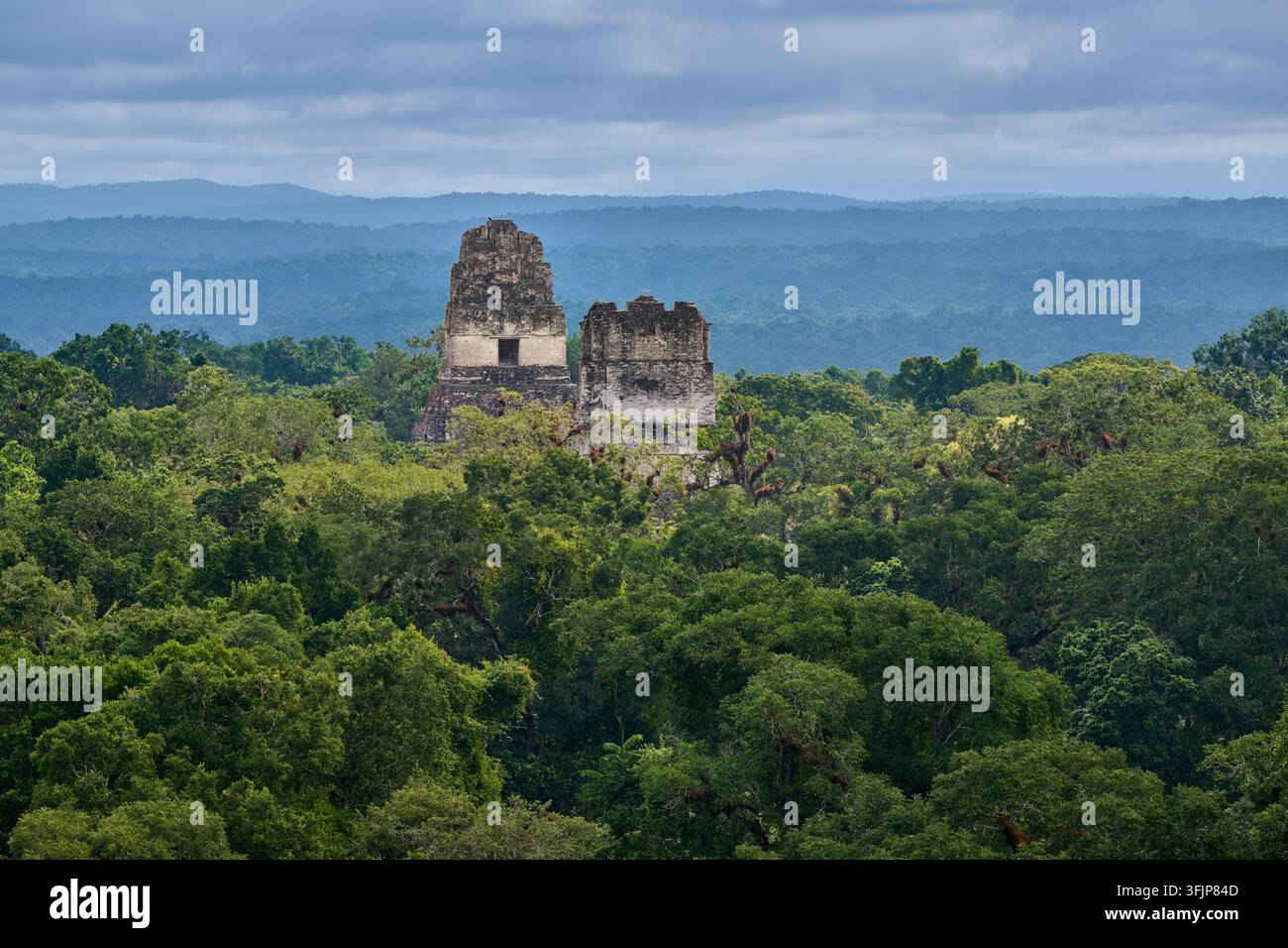Vue sur la jungle avec les ruines mayas de Tikal, Parc national de Tikal, Petén, Guatemala, Amérique centrale Banque D'Images