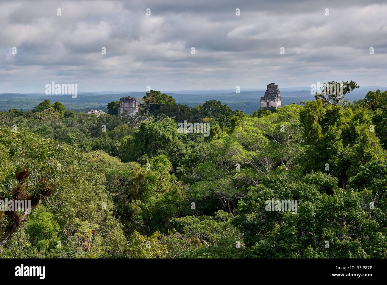 Vue sur la jungle avec les ruines mayas de Tikal, Parc national de Tikal, Petén, Guatemala, Amérique centrale Banque D'Images