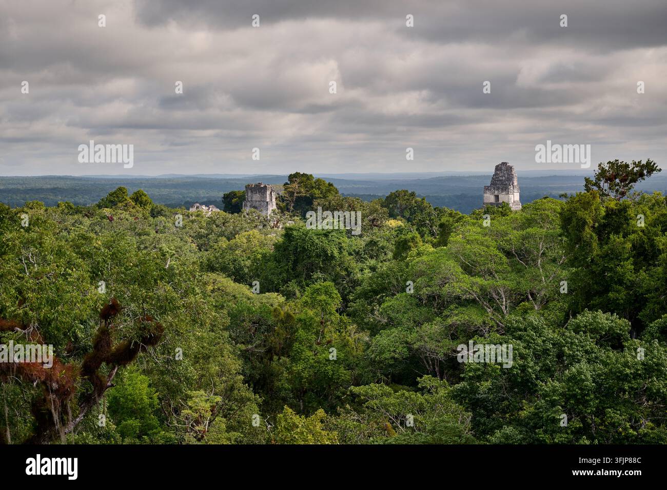 Vue sur la jungle avec les ruines mayas de Tikal, Parc national de Tikal, Petén, Guatemala, Amérique centrale Banque D'Images