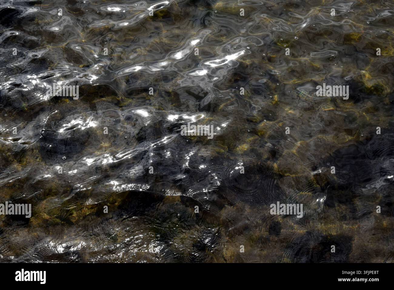 Lumière du soleil se reflétant à la surface de l'eau calme Banque D'Images