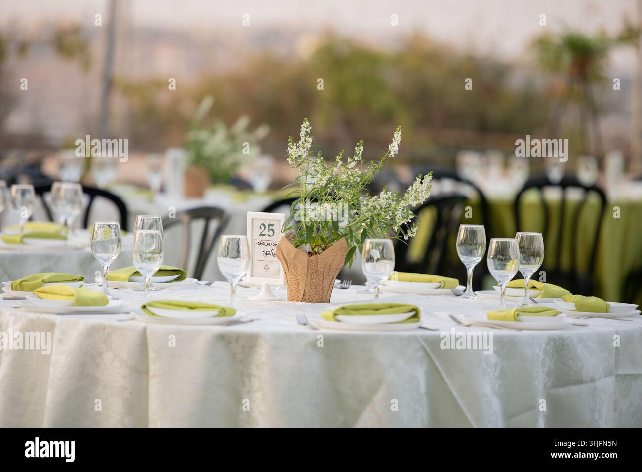 Table d'extérieur pour mariage avec centres de table verts sous les arbres Banque D'Images