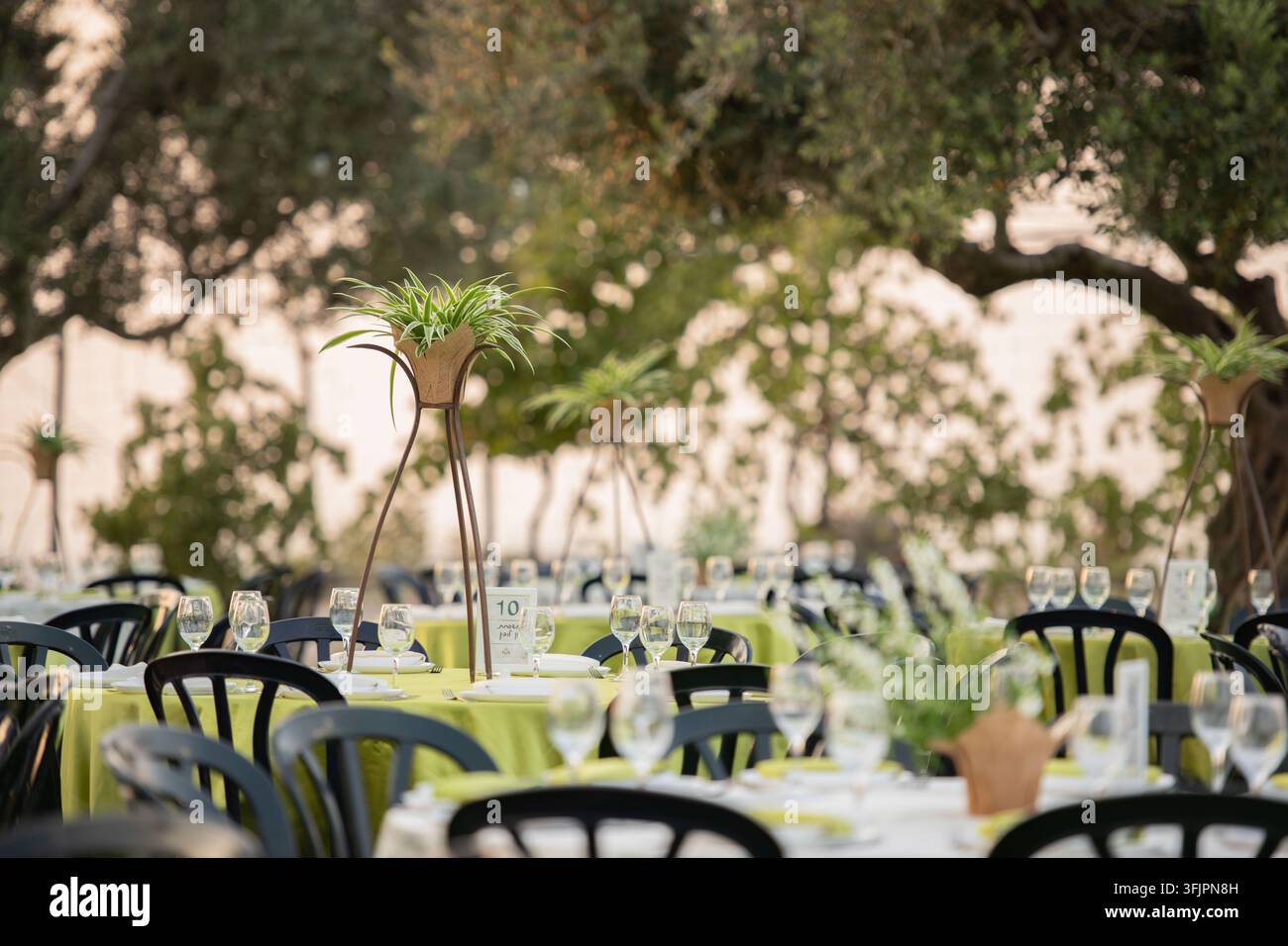 Table d'extérieur pour mariage avec centres de table verts sous les arbres Banque D'Images