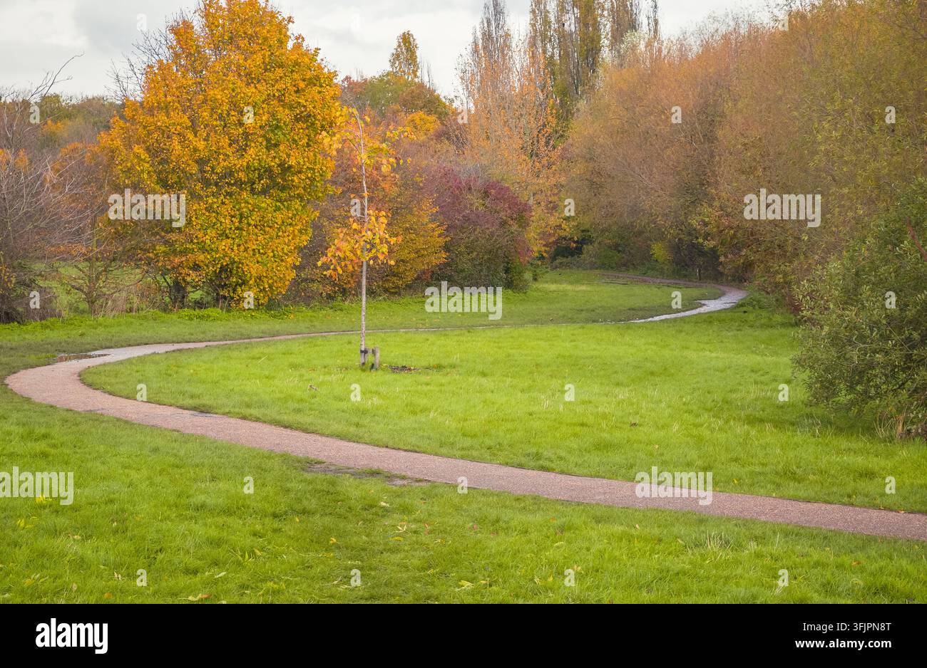 Chemin de gravier sinueux à travers une forêt d'automne dans le parc Alexandra au nord de Londres Banque D'Images