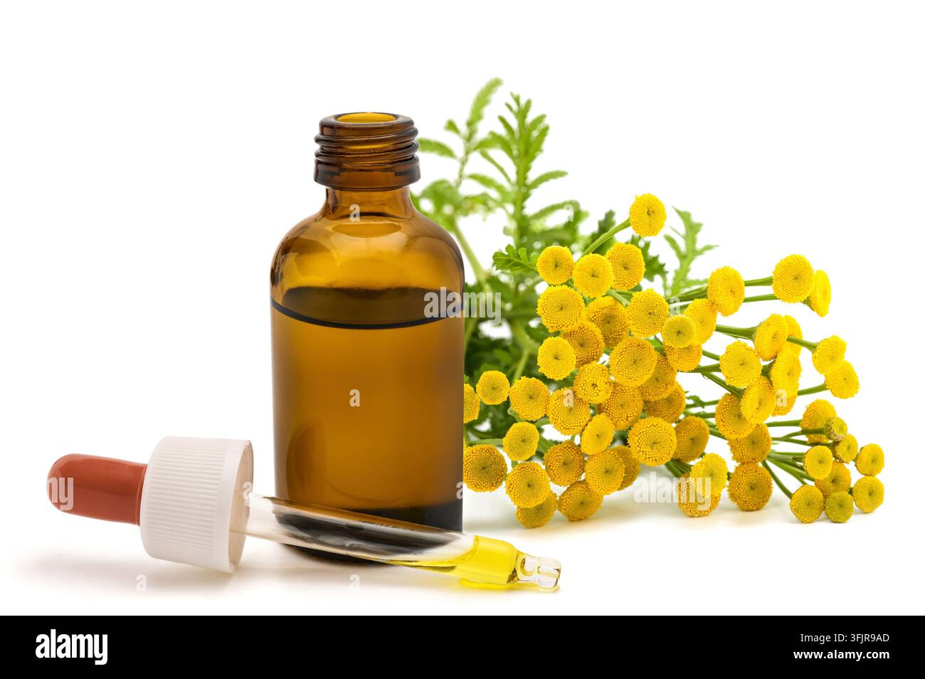 Fleurs de tanaisie avec une bouteille à compte-gouttes contenant un extrait de plantes, isolées sur un fond blanc. Concept de remède botanique et à base de plantes naturel. Banque D'Images