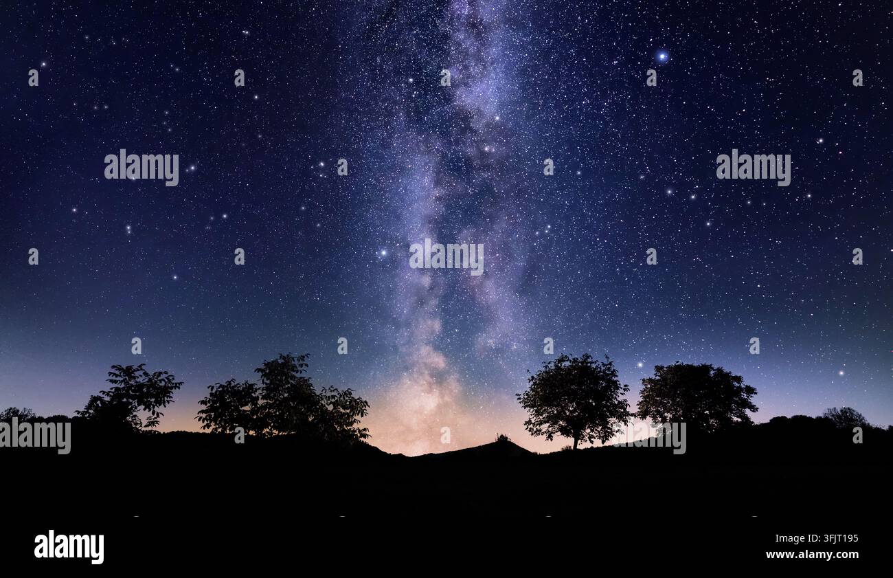 Majestueuse et glorieuse Voie lactée et lueur à l'horizon d'un paysage rural en silhouette. Ciel étoilé de nuit avec des silhouettes d'arbres. Banque D'Images