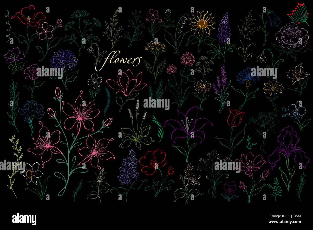 Ensemble de fleurs élégantes colorées en ligne simple. Dessiné à la main. Pas d'IA. Illustration vectorielle. Illustration de Vecteur