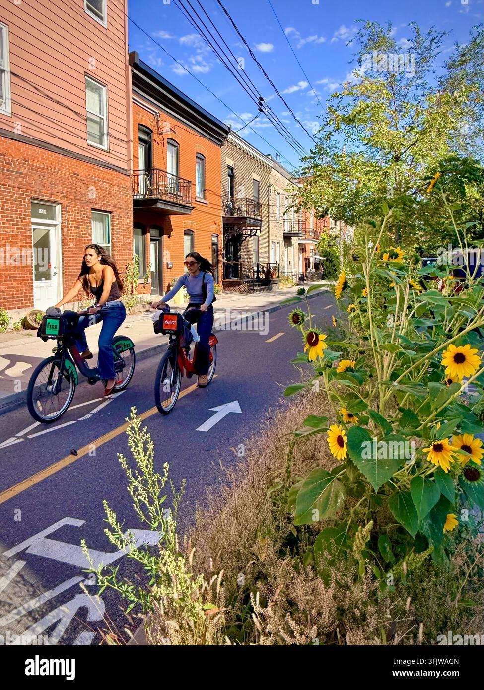 Les cyclistes roulent le long d’une piste cyclable bordée de fleurs dans le quartier Mile End de Montréal, au Québec, au Canada, combinant transport actif et verdurisation urbaine Banque D'Images