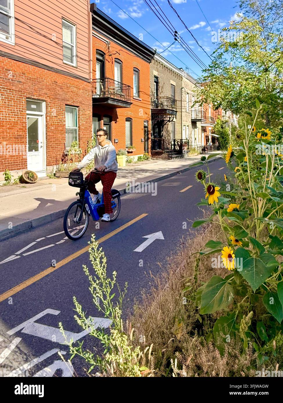 Un cycliste roule le long d’une piste cyclable bordée de fleurs dans le quartier Mile End de Montréal, au Québec, au Canada, combinant transport actif et verdurisation urbaine Banque D'Images