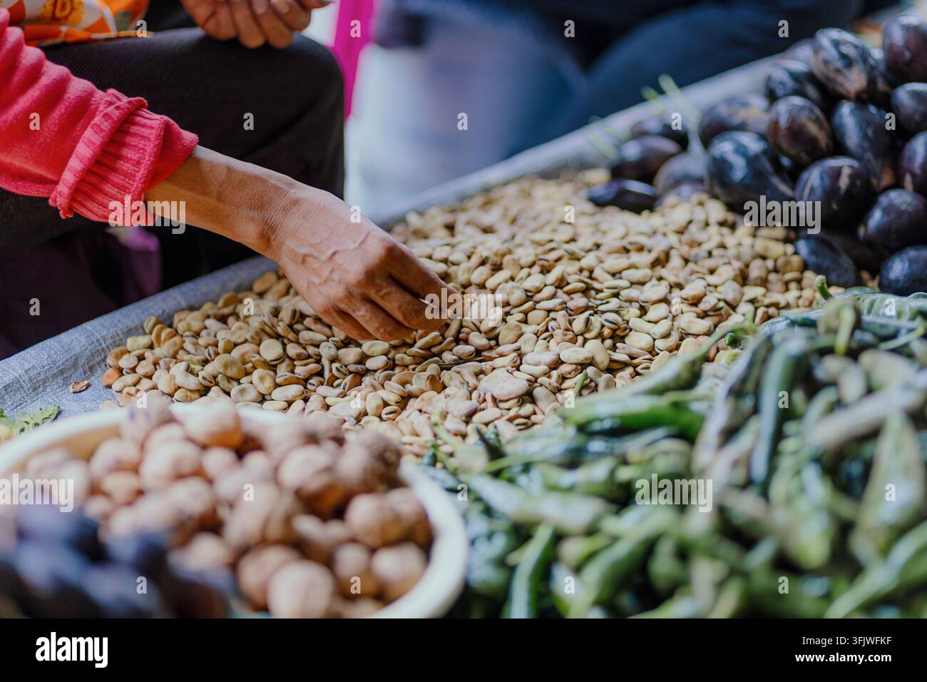 Tri manuel de fèves de marais séchées au marché de Cholula Banque D'Images