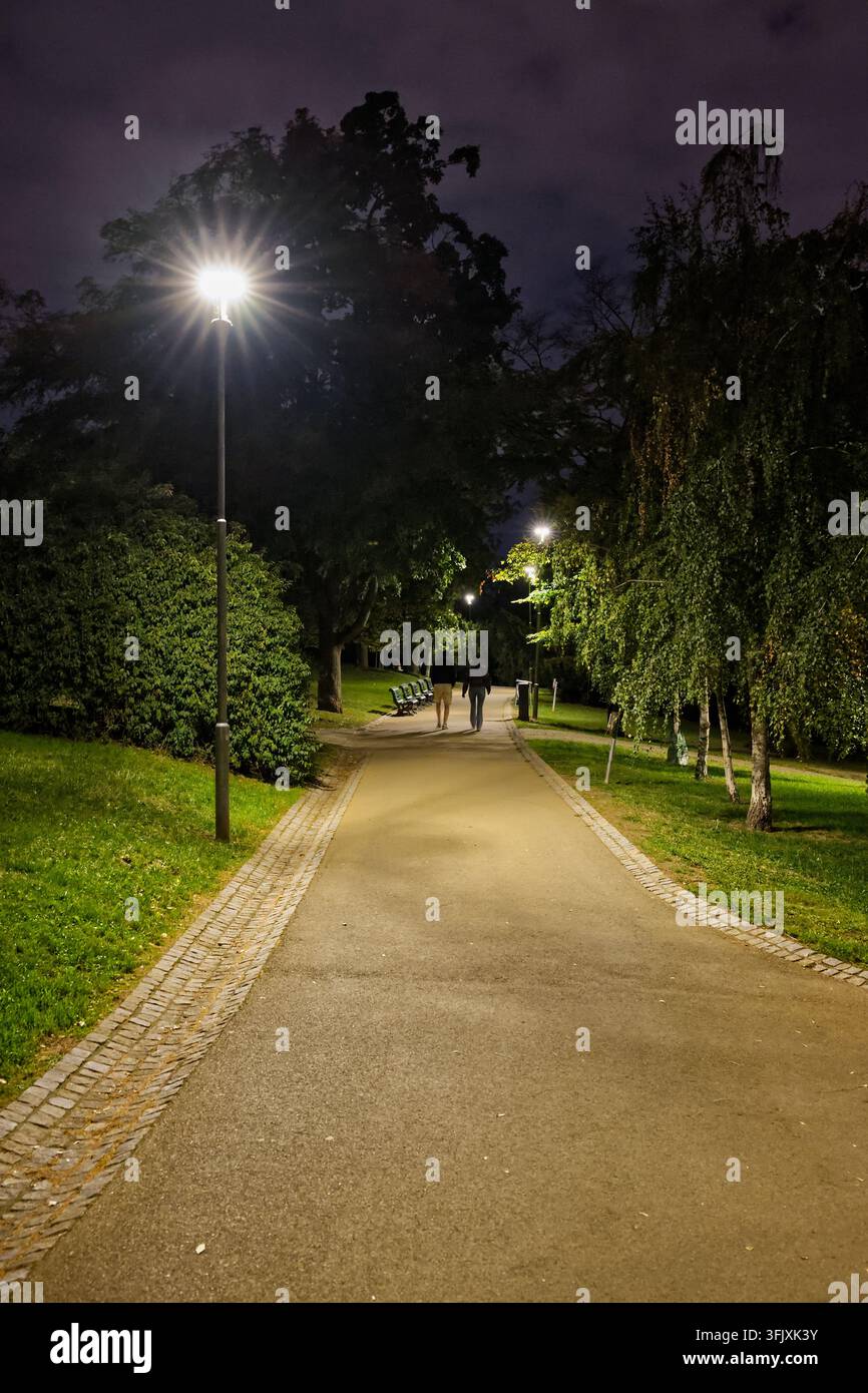 Deux piétons marchent le long d'un chemin du parc illuminé bordé d'arbres et de bancs la nuit. Banque D'Images