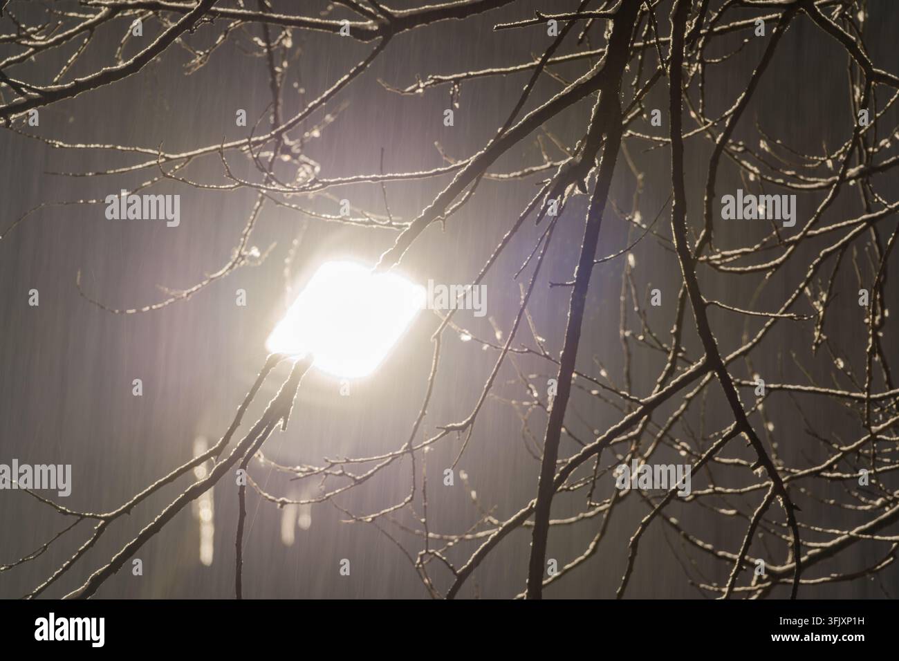 Lampe de rue d'une nuit d'hiver enneigée, séquence de fond atmosphérique Banque D'Images