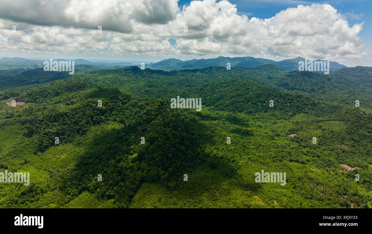 Vue aérienne d'une chaîne de montagnes tropicales et de pentes montagneuses avec forêt tropicale. Balabac, Palawan. Philippines. Banque D'Images