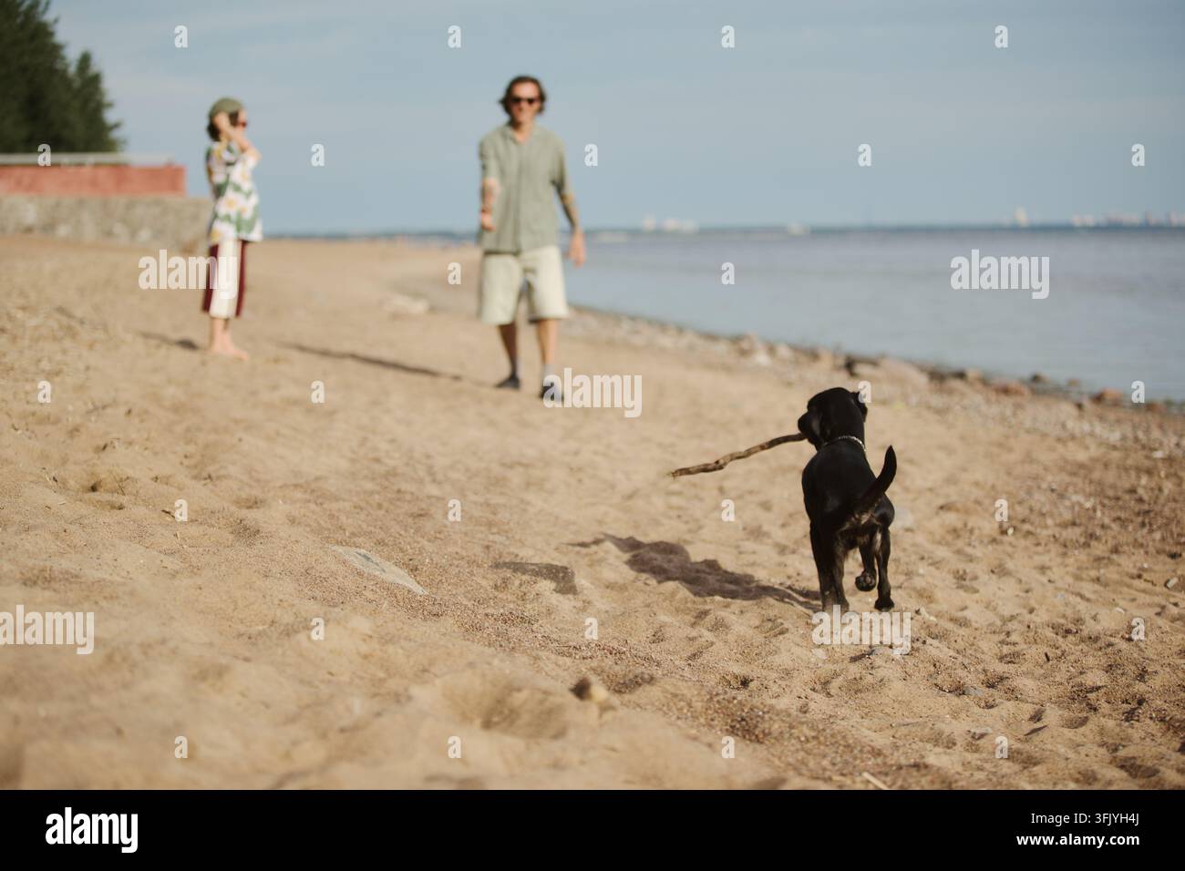 Chien portant un bâton sur une plage de sable près d'un homme et d'une femme en plein air Banque D'Images