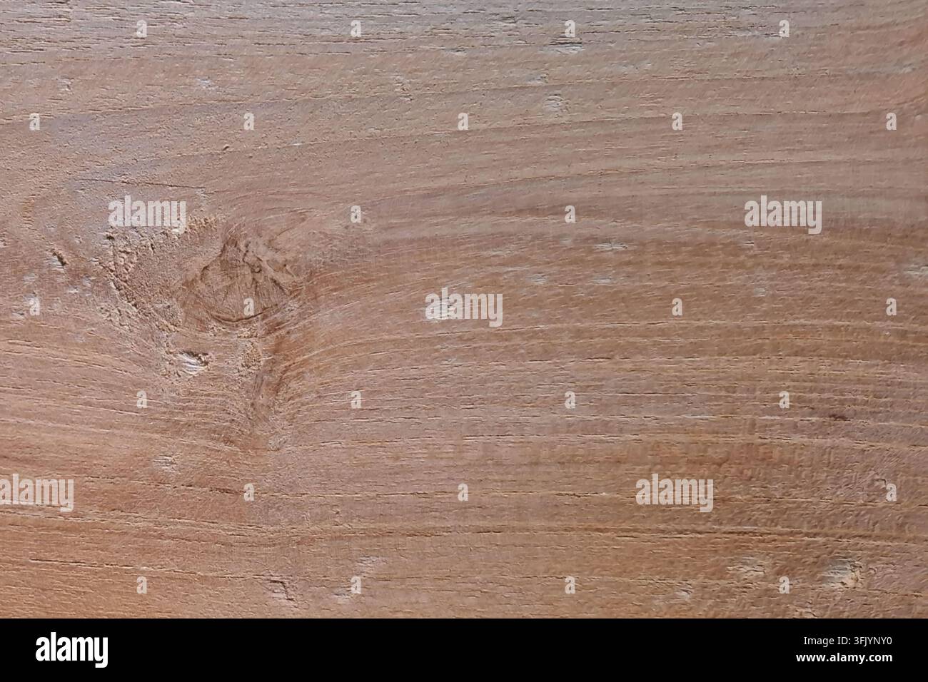Texture en bois brun clair rustique avec une veinure fibreuse organique et un nœud de bois nettement vieilli Banque D'Images