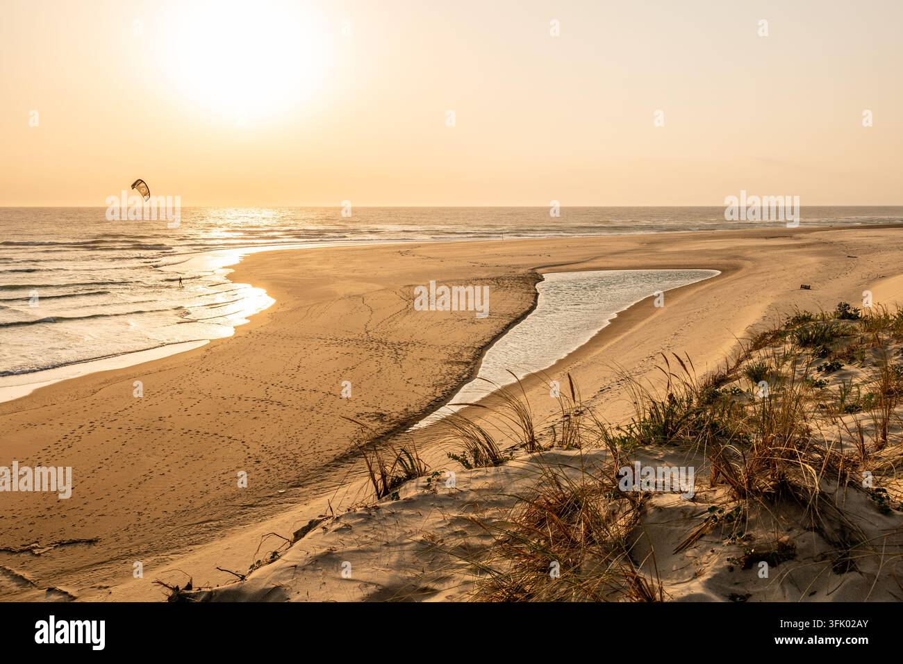 Lège-Cap-Ferret (sud-ouest de la France) : la plage et la dune entre les deux plages « plage de la Pointe » et « plage de Cap-Ferret Ouest » dans la plaine Banque D'Images