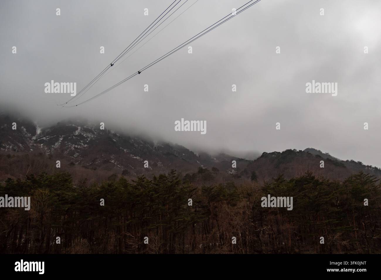 Crête montagneuse sombre et forêt de pins sous de bas nuages gris, avec des lignes de câble aériennes traversant un paysage hivernal mélancolique. Banque D'Images