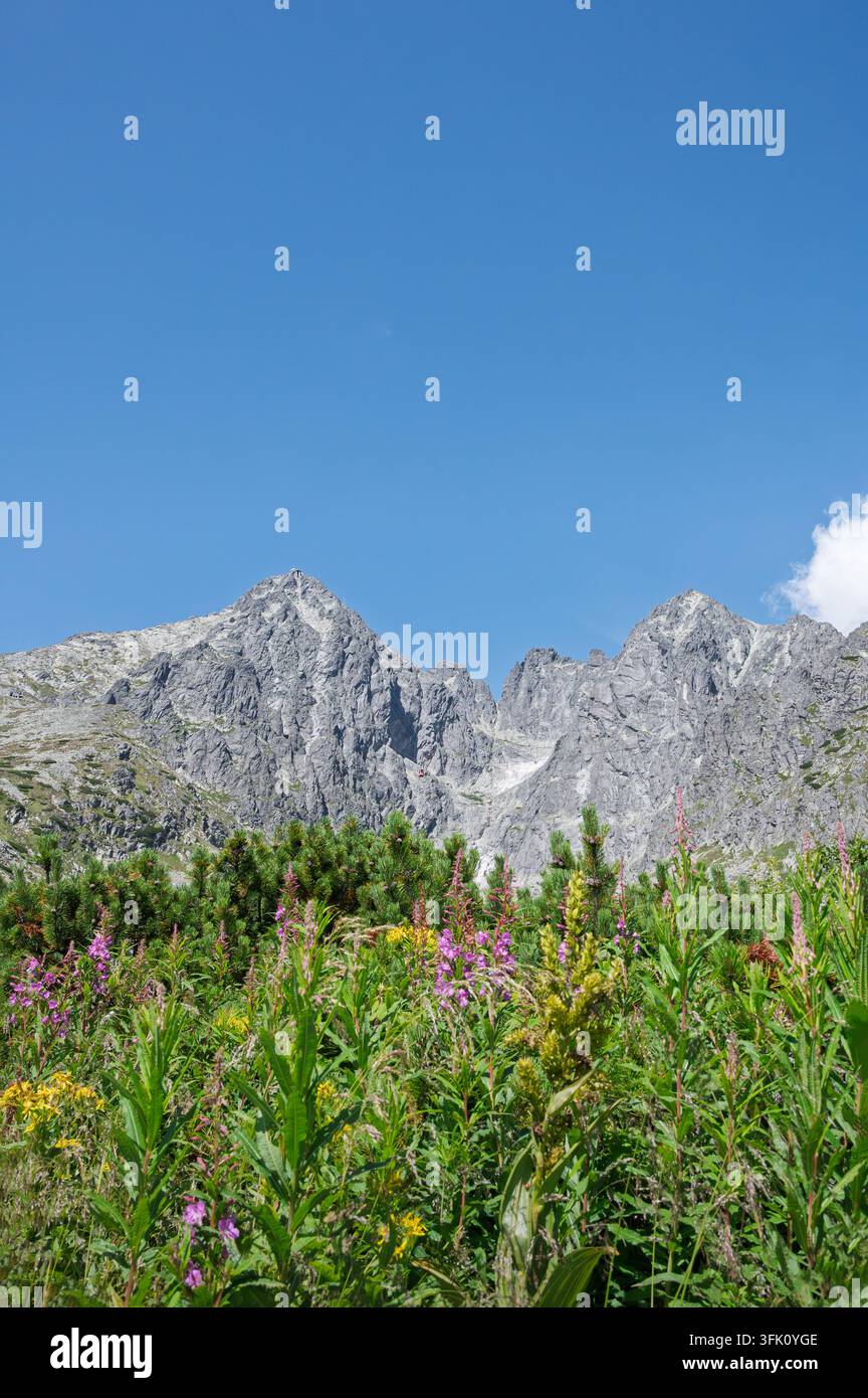 La randonnée vers le sommet Lomnicky Stit dans les Hautes Tatras propose certaines des aventures les plus attrayantes de la région, Slovaquie Banque D'Images