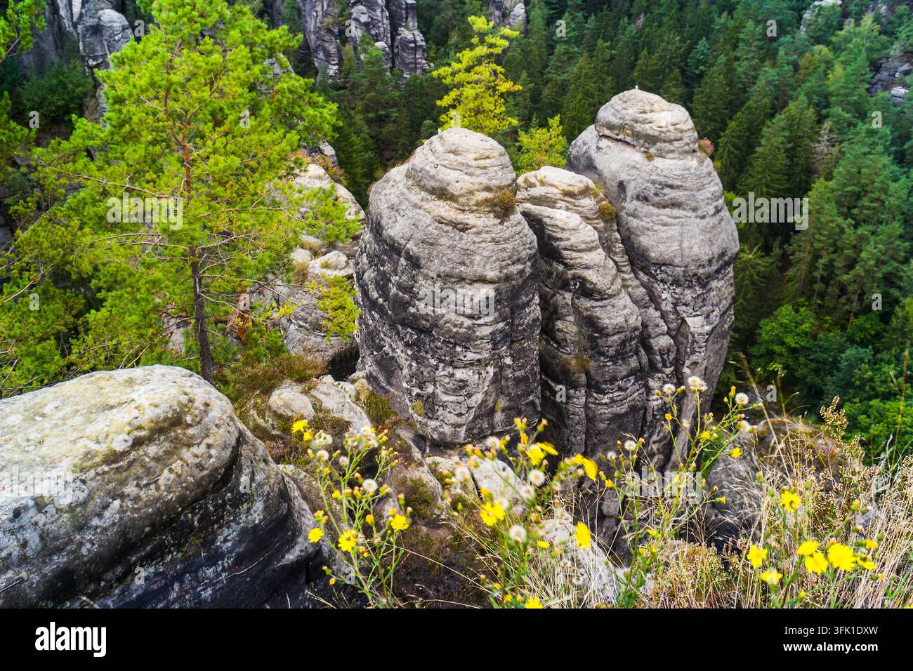 Bastei, Saxe, Allemagne Banque D'Images