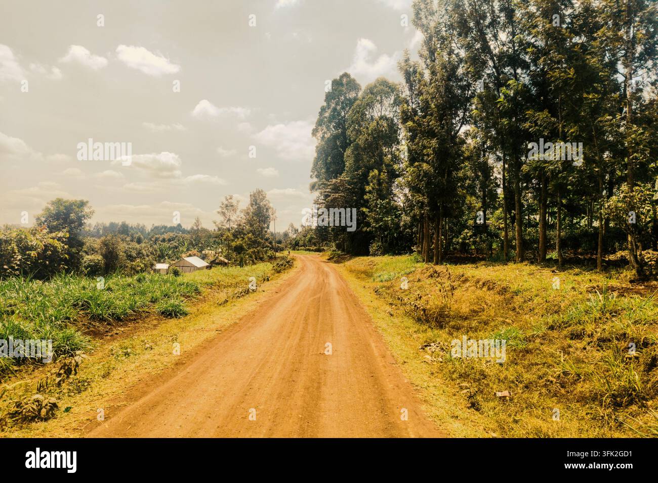 Route de terre pittoresque serpentant à travers le paysage rural du comté de Murang’a, au Kenya Banque D'Images