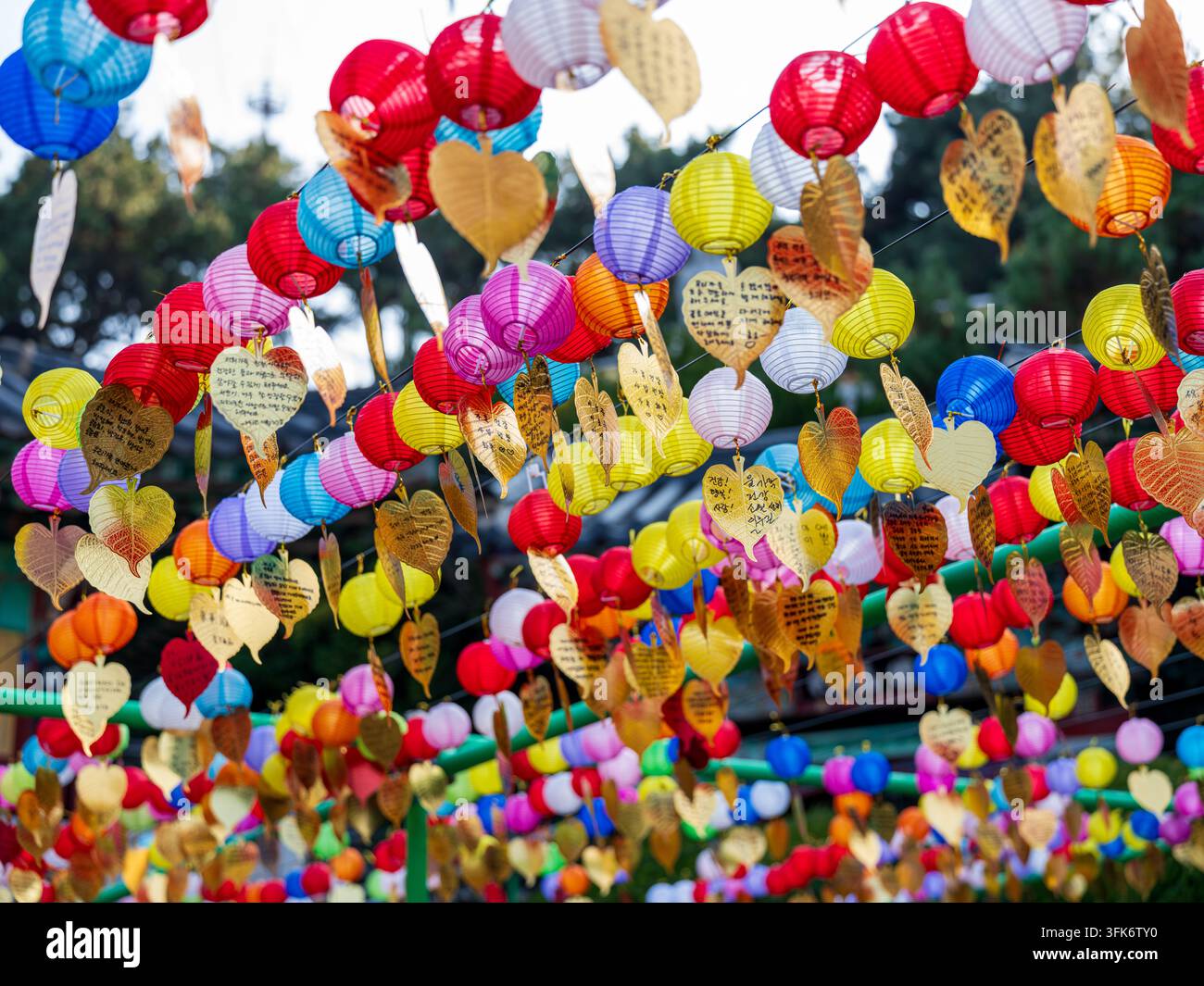 Busan, Corée du Sud - 14 février 2026 : Vue sur des lanternes en papier colorées et des étiquettes de prière en forme de feuille dorée suspendues au temple Haedong Yonggungsa. Banque D'Images