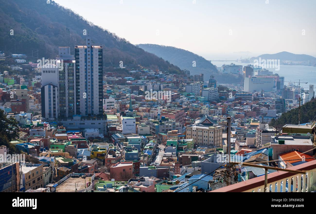 Busan, Corée du Sud - 14 février 2026 : Vue du village culturel de Gamcheon avec des maisons colorées, des rues étroites et des immeubles modernes en hauteur nichés Banque D'Images