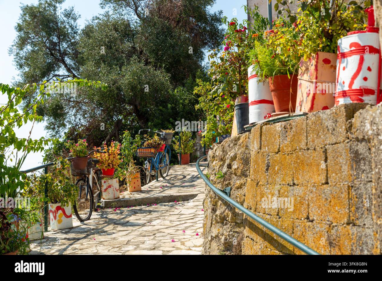 Un chemin de pierre bordé de fleurs avec des vélos dans le village traditionnel d'Afionas sur l'île grecque de Corfou Banque D'Images