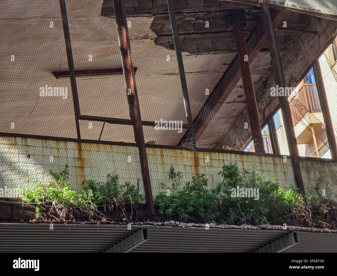 Un bâtiment en béton délabré dans une ville. La structure est recouverte de filets de sécurité. Des plantes vertes poussent sauvagement sur les bords. Banque D'Images