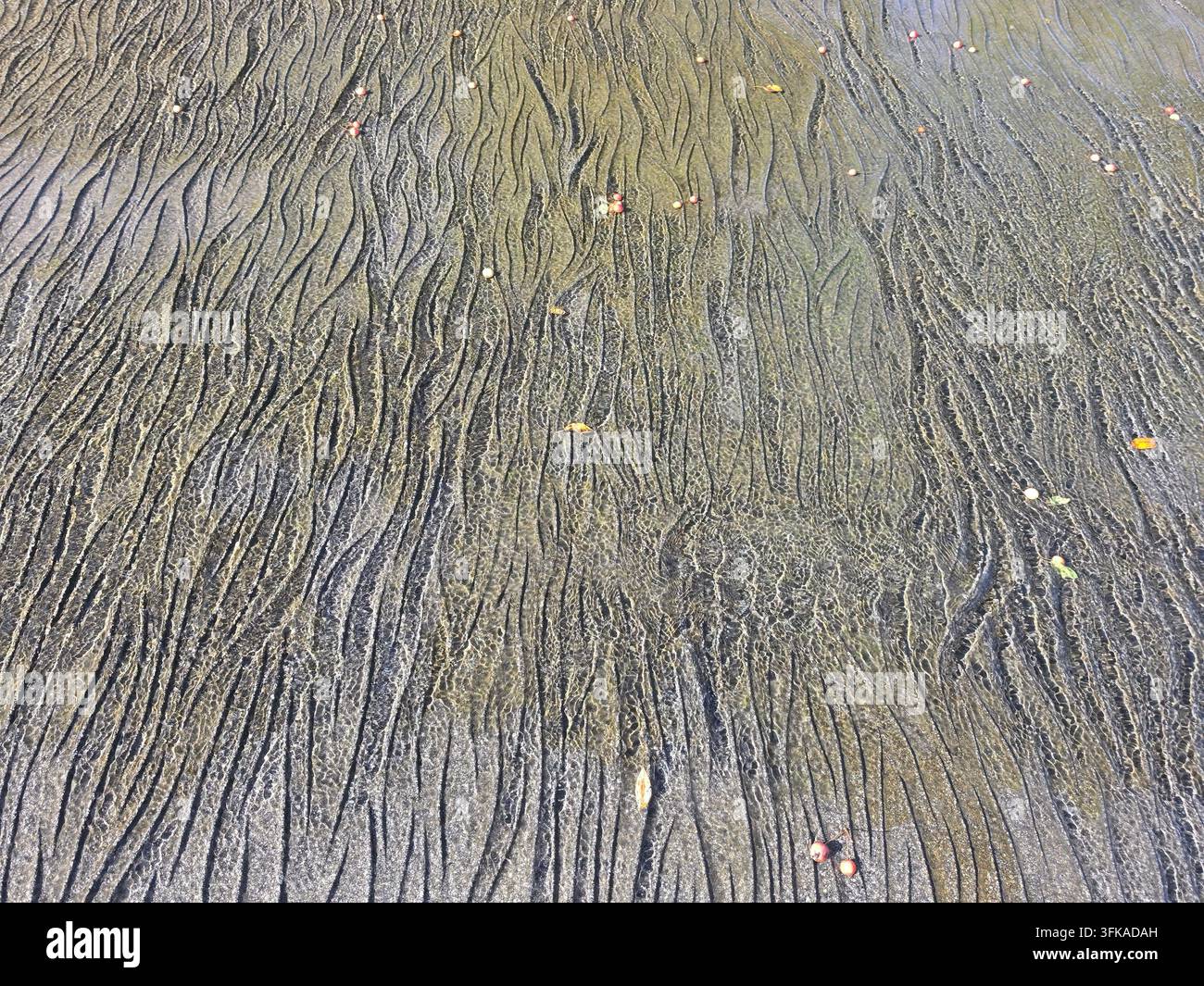 Motifs abstraits de rides de sable naturelles sur un lit de rivière peu profond avec une fine couche d'eau claire créant une texture ondulée. Beau fond naturel avec org - Image de stock capturée avec un smartphone