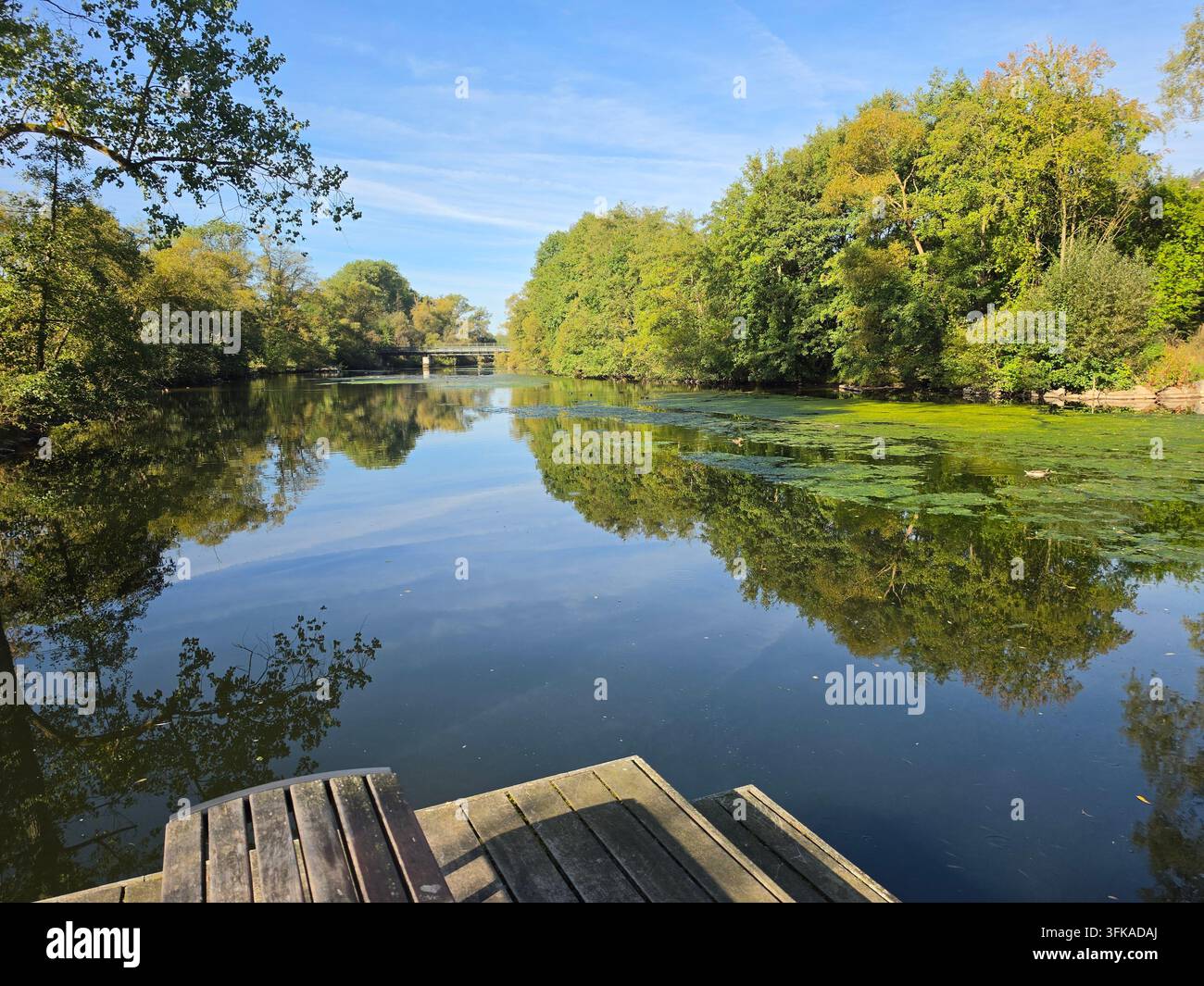 Paysage fluvial pittoresque avec des réflexions miroir parfaites d'arbres verts et de ciel bleu sur la surface calme de l'eau. Voie d'eau paisible avec des plantes aquatiques, vieux b - Image de stock capturée avec un smartphone