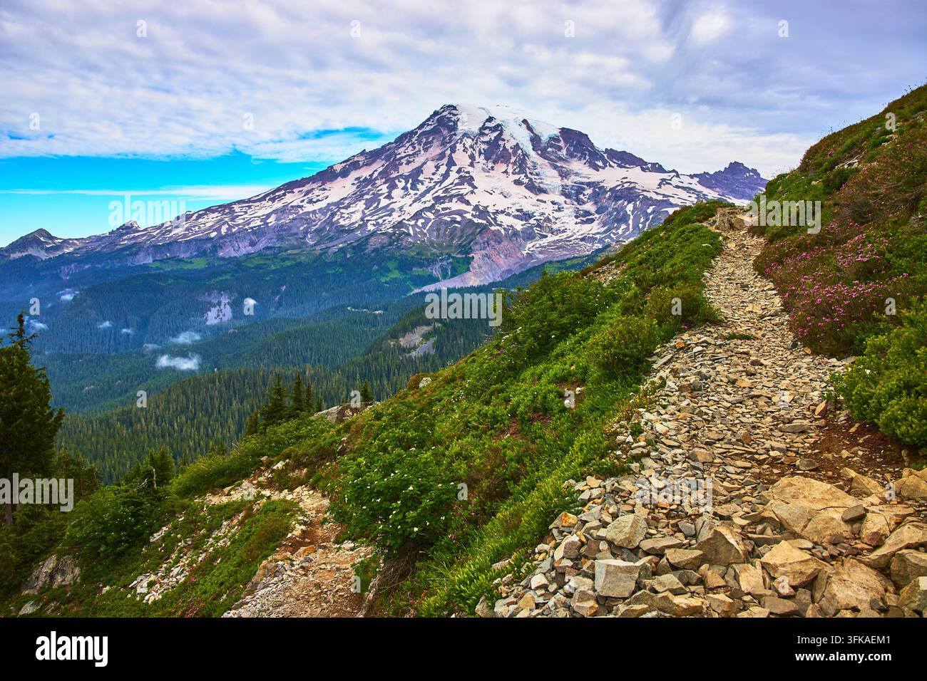 Sommet enneigé du mont Rainier avec sentier rocheux et paysage alpin luxuriant en été Banque D'Images
