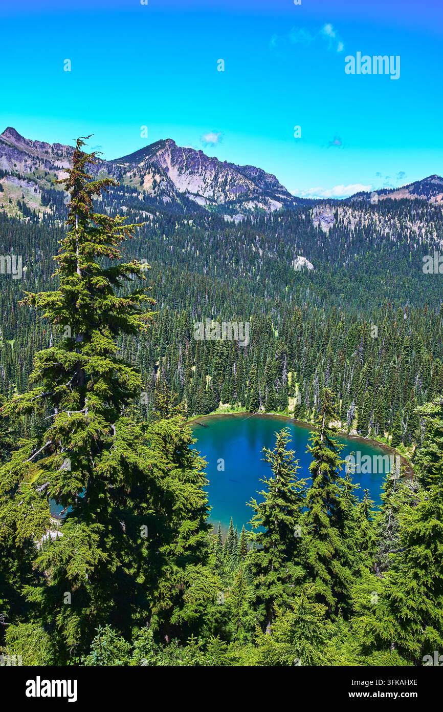 Étang alpin, forêt de feuillus persistants et sommets montagneux dans le paysage de Washington Banque D'Images