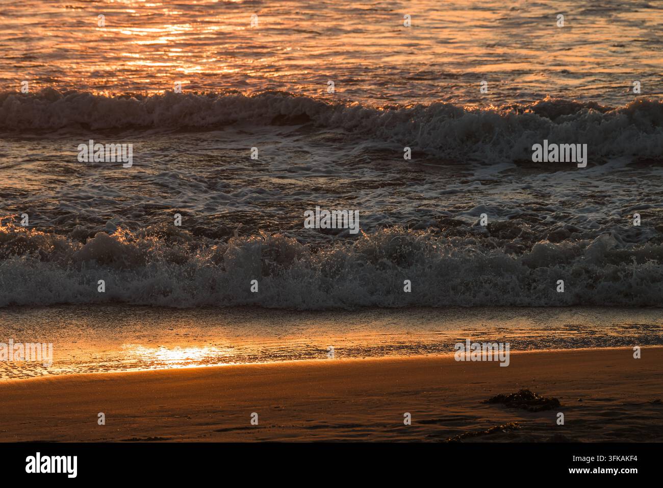 Une lumière dorée chaude de coucher de soleil se reflète sur les vagues mousseuses de l'océan qui déferlent sur une plage de sable mouillée. Banque D'Images