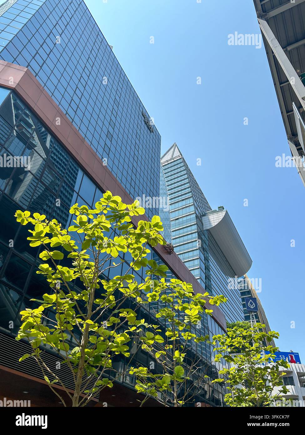 Vue en contre-plongée des tours de bureaux modernes, des bâtiments commerciaux et des arbres dans le quartier des affaires central de Bangkok sous un ciel bleu clair. - Image de stock capturée avec un smartphone