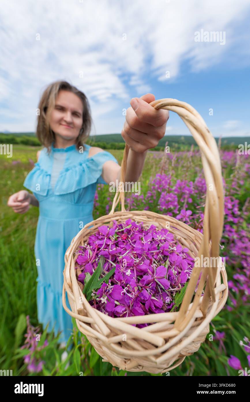 Femme en robe bleue tenant un panier en osier rempli de fleurs sauvages violettes dans une prairie. Scène de champ estival avec des fleurs violettes et de l'herbe verte. Lumière naturelle douce Banque D'Images