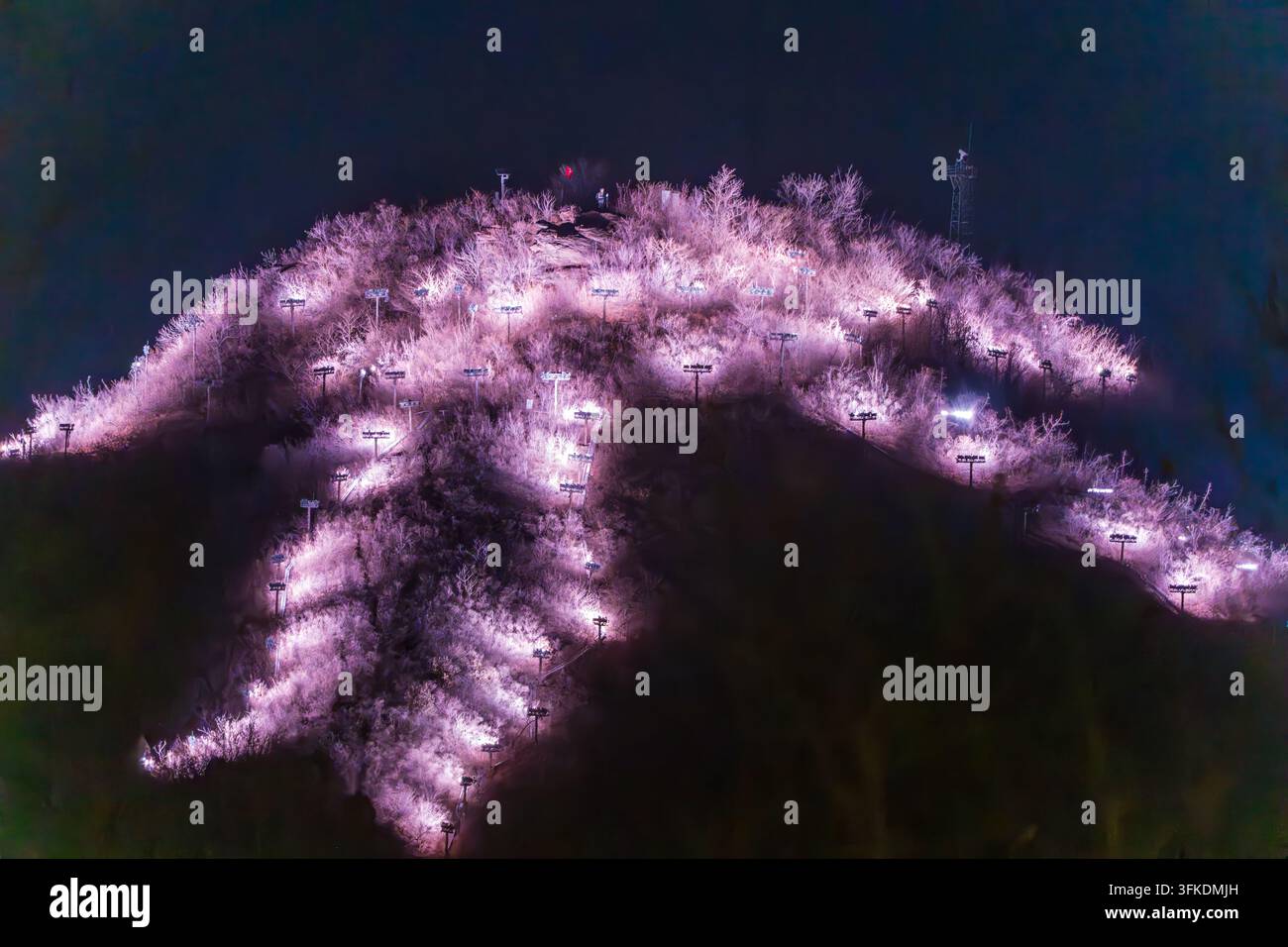 Vue nocturne de la station de ski sous un éclairage rose-violet au mont Hongguang, Pékin Banque D'Images