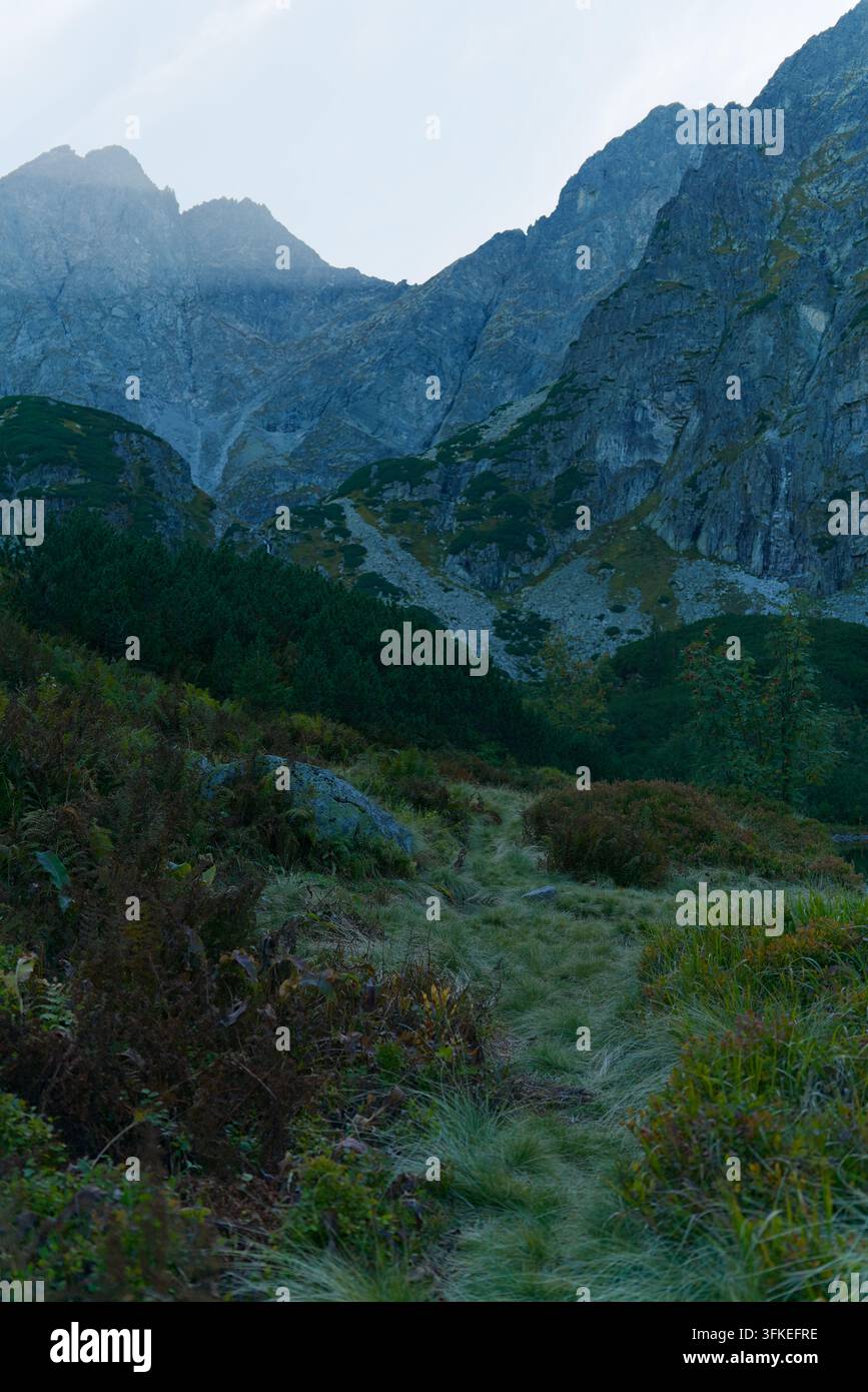 Un sentier de montagne pittoresque serpente à travers une végétation verte et des buissons vers des sommets rocheux dramatiques sous un ciel couvert. Banque D'Images