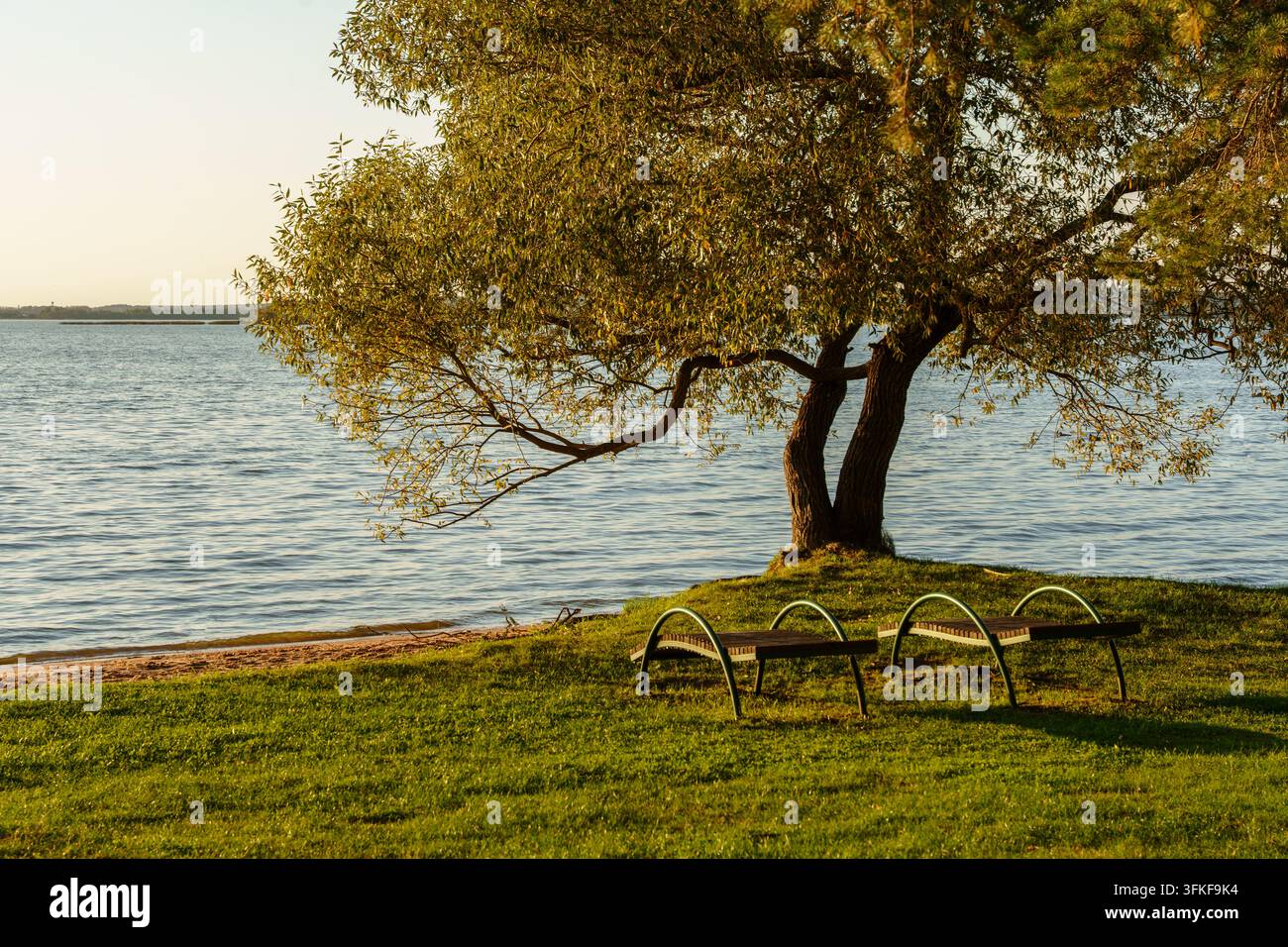 Deux chaises longues vides sous un arbre au bord du lac. Concept de vacances locales, de détente et de vie lente avec espace pour du texte Banque D'Images