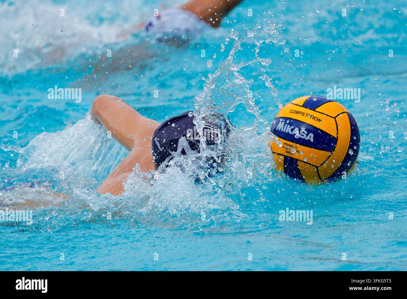 Un joueur de water-polo non identifié en action lors du tournoi annuel de water-polo du Grey College, Bloemfontein, Afrique du Sud, 29-31 janvier 2026 Banque D'Images