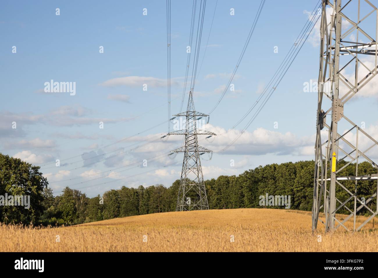 Pylônes à haute tension sur un champ rural Banque D'Images
