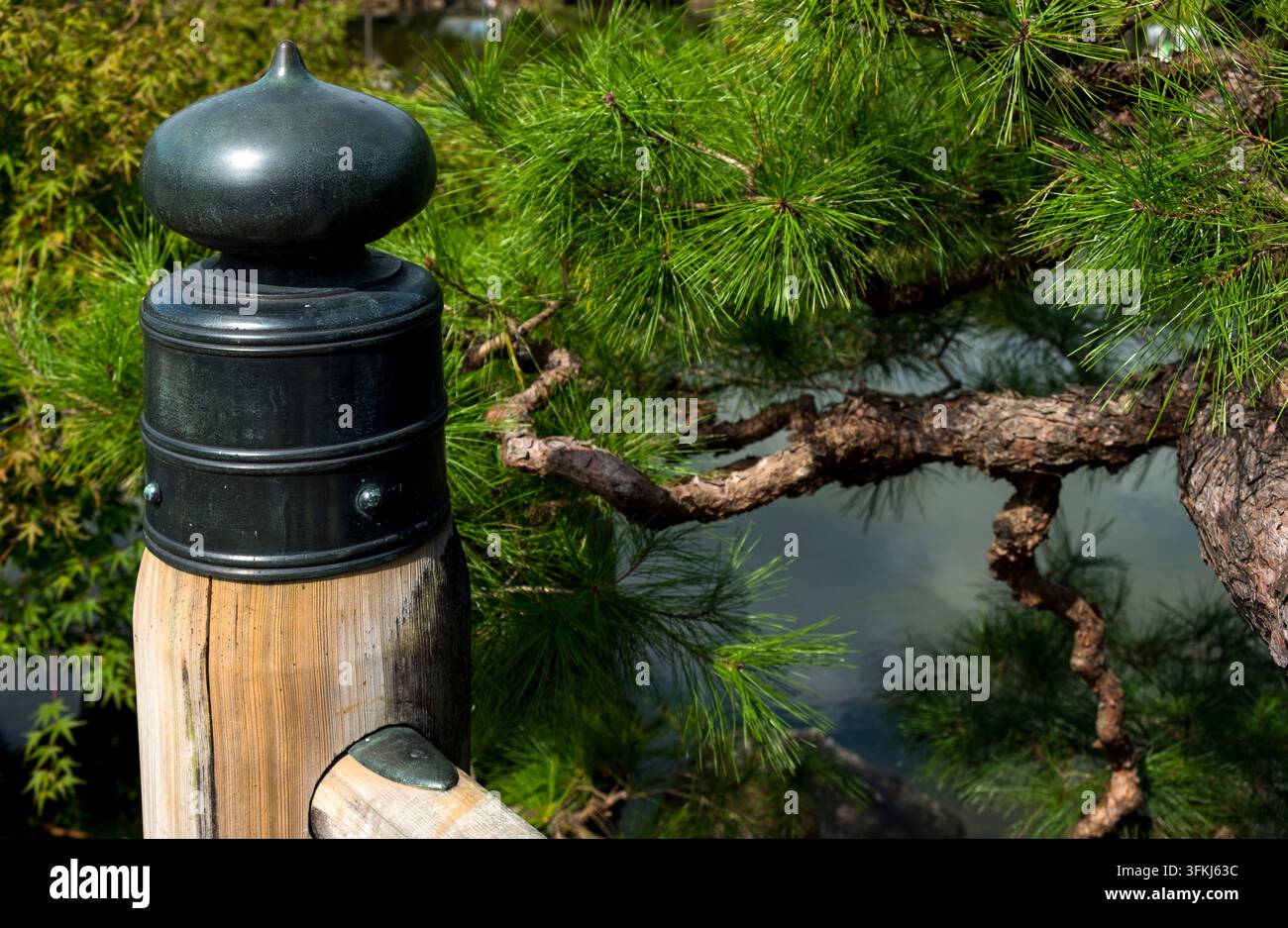 Capiteau décoratif en cuivre en forme d'oignon "giboshi" (擬宝珠) sur un pont de jardin avec un pin matsu (松) japonais dans le jardin Genkyuen (玄宮園), Shiga, Japon. Banque D'Images