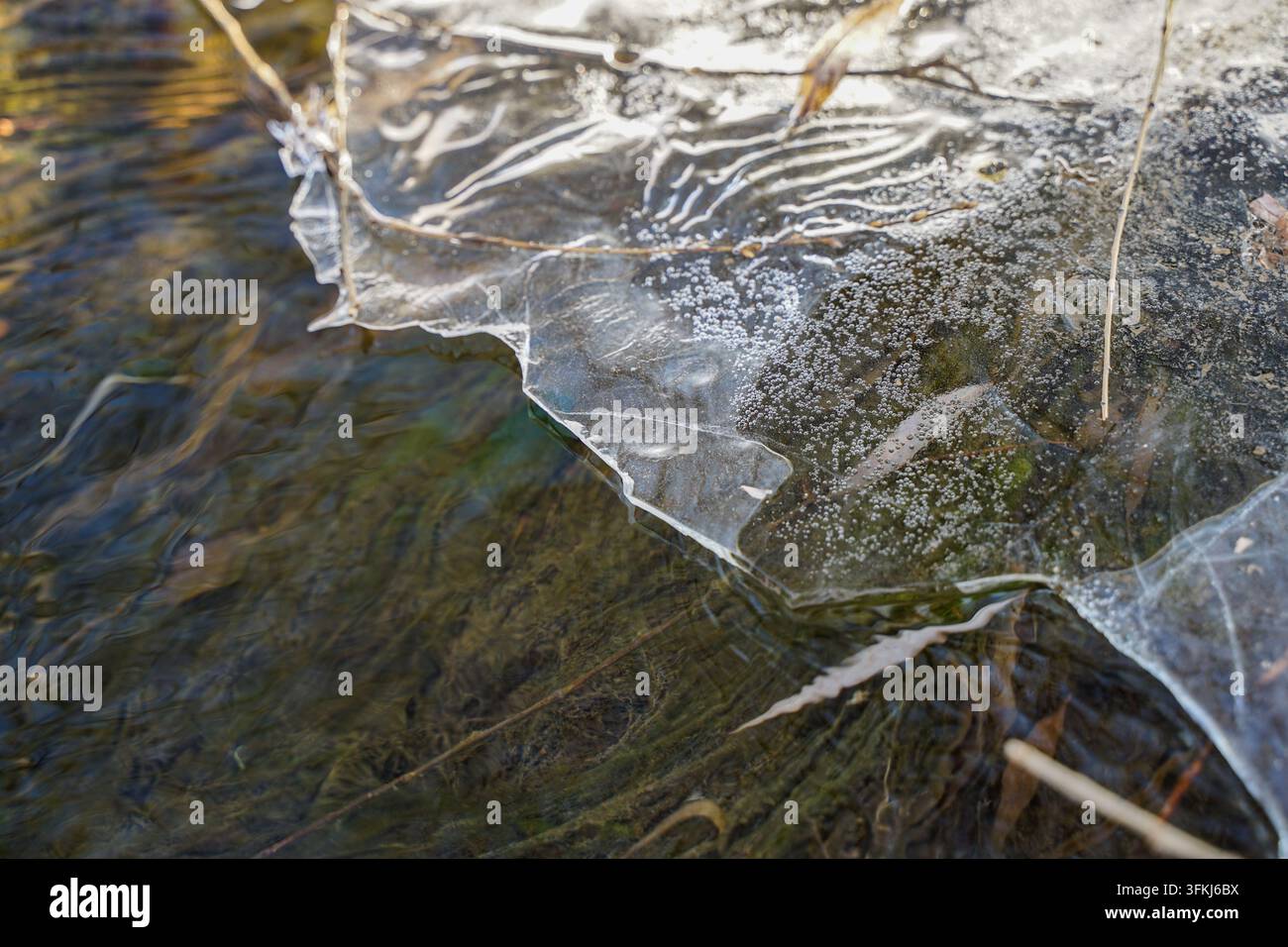 Grossissement d'un glaçon en train de fondre avec une texture de bulles visible au-dessus d'un ruisseau Banque D'Images