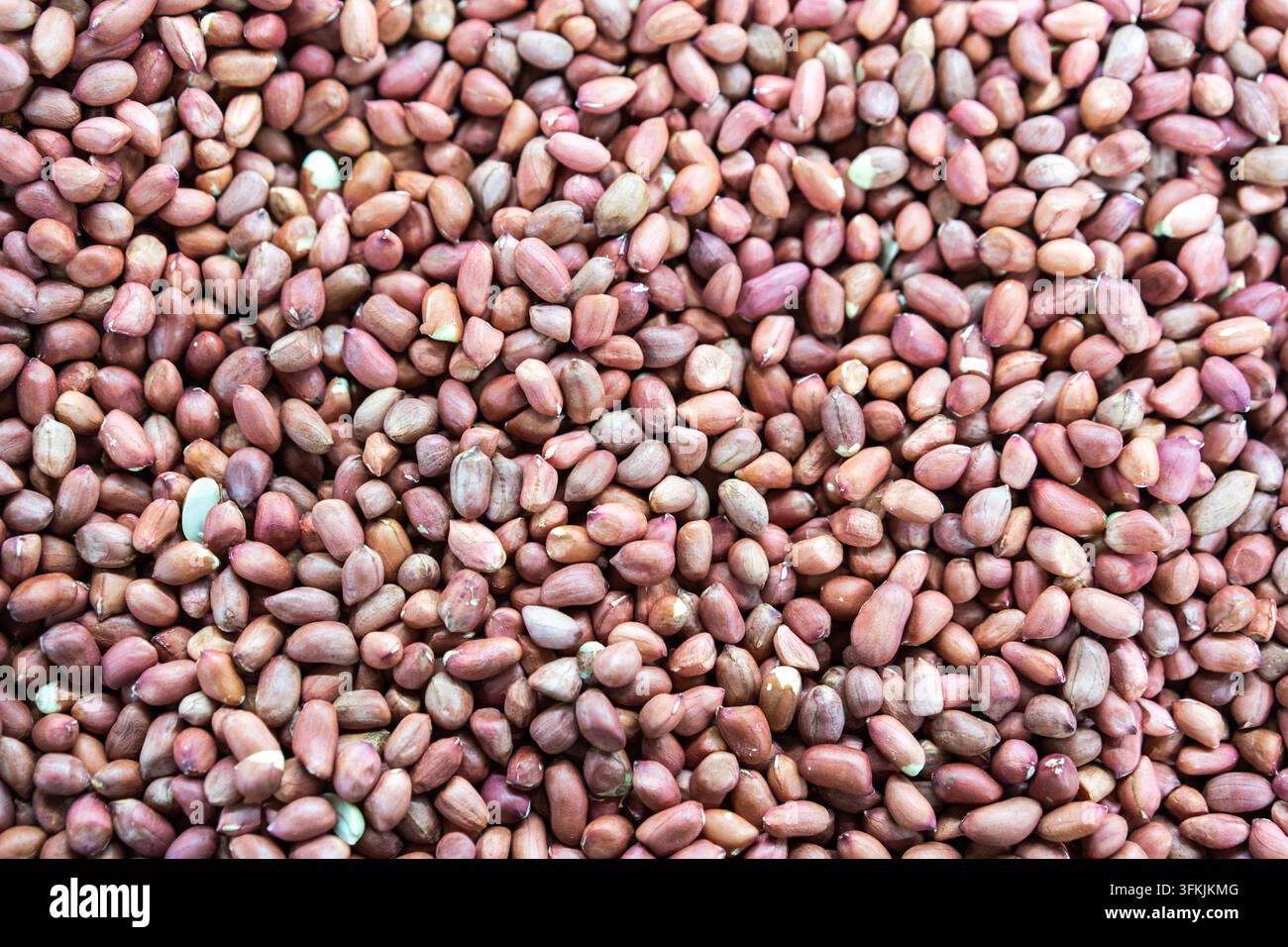 Grossissement d'un plan complet de noyaux de cacahuètes à peau rouge brute Banque D'Images