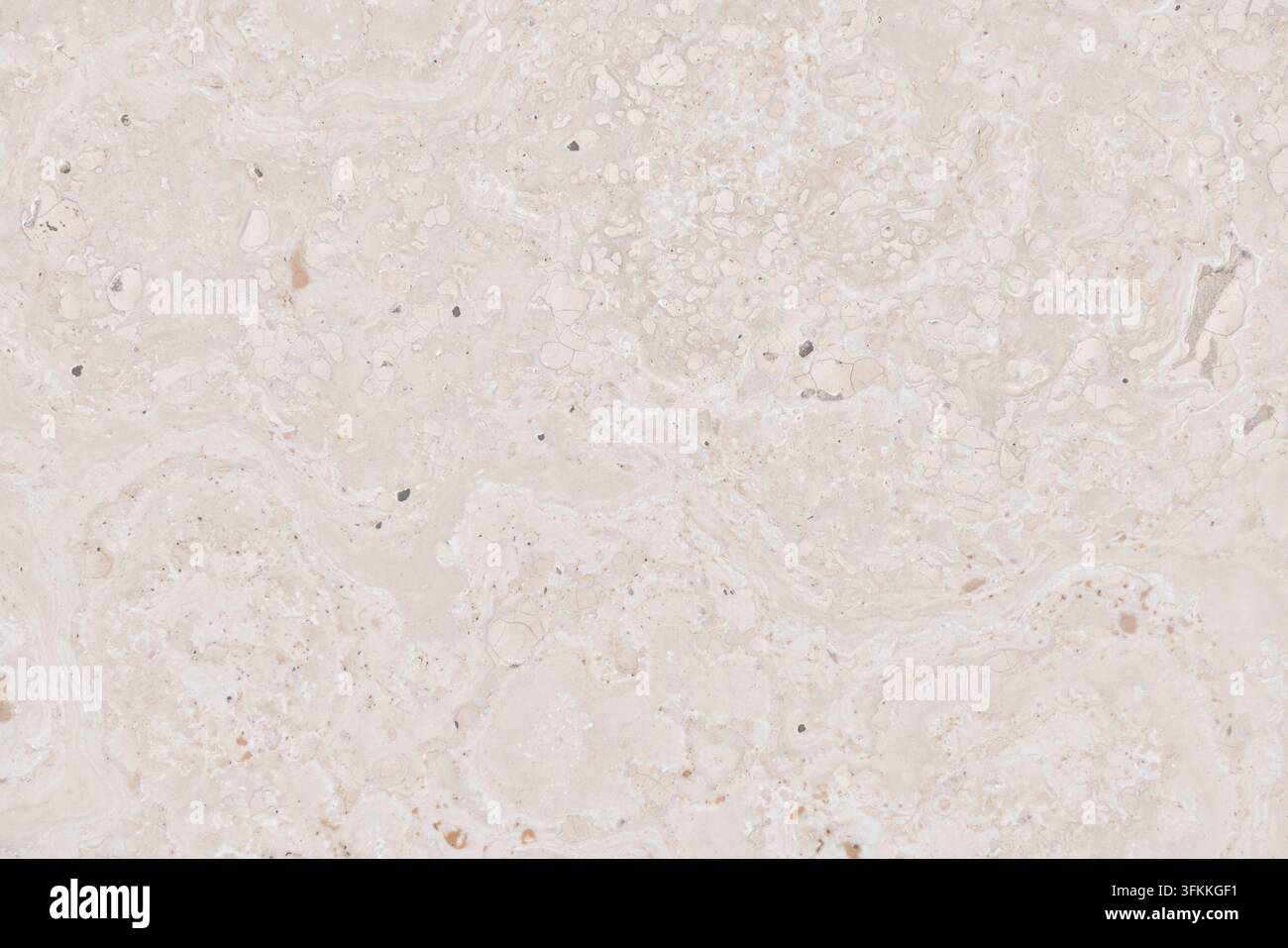 Vue macro en haute résolution d'une surface en calcaire beige naturel avec des veines et des textures organiques subtiles. Idéale pour le design et l'architecture Banque D'Images
