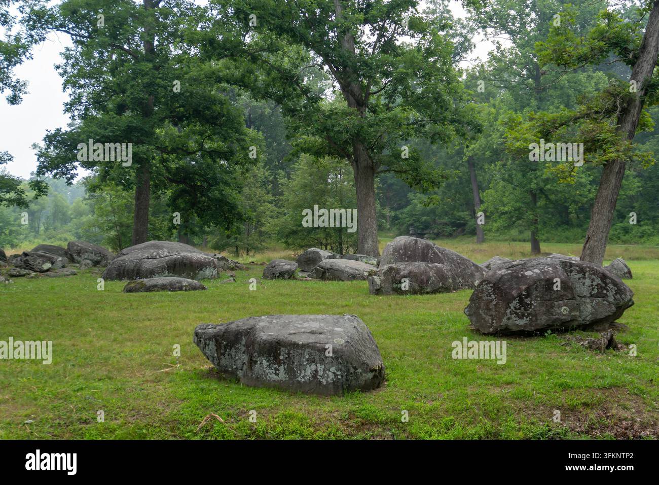 Voyages et Histoire : Gros blocs de granit et chênes près de Spangler's Spring et de Culp's Hill dans le parc militaire national de Gettysburg, Pennsylvanie Banque D'Images