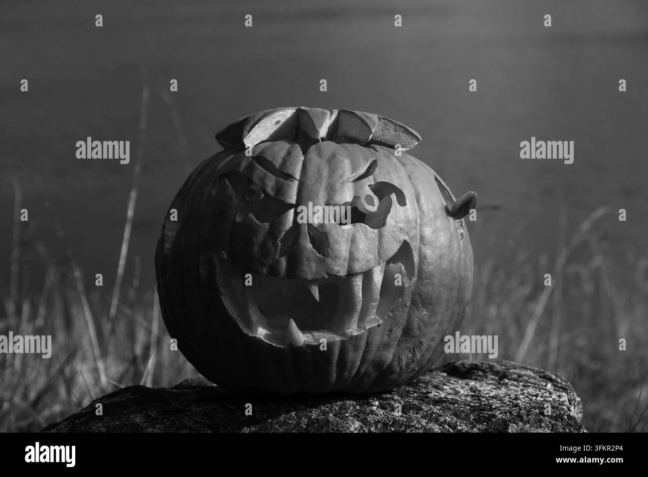 Citrouille d'Halloween drôle en forme de lanterne orange avec un sourire sinistre sur un rocher près d'un lac en France, vacances de automne en pleine nature, noir blanc Banque D'Images