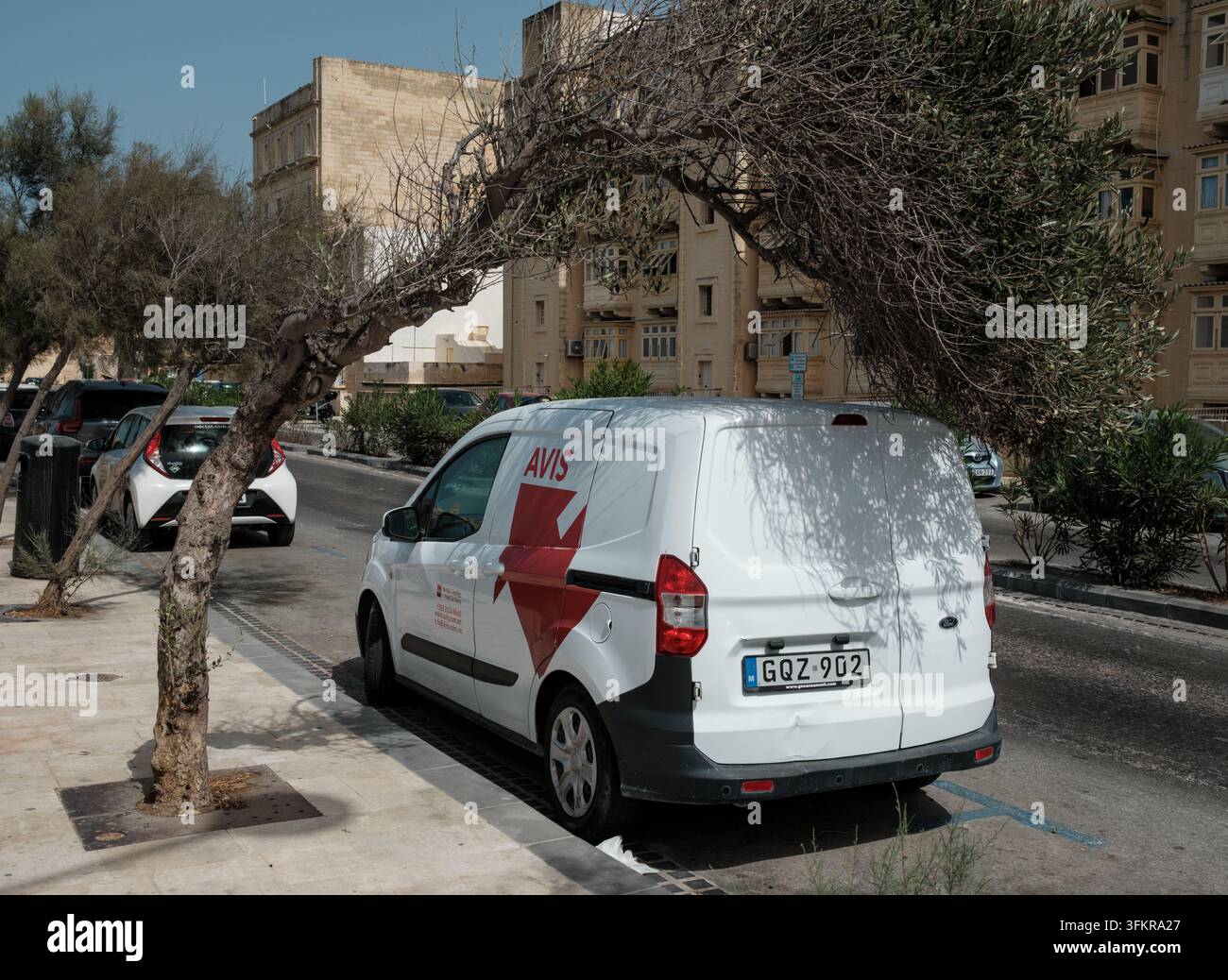 Un arbre façonné par le vent, déformé et penché au-dessus d'une camionnette de location Avis garée en dessous sur une place de stationnement dans la rue. Banque D'Images