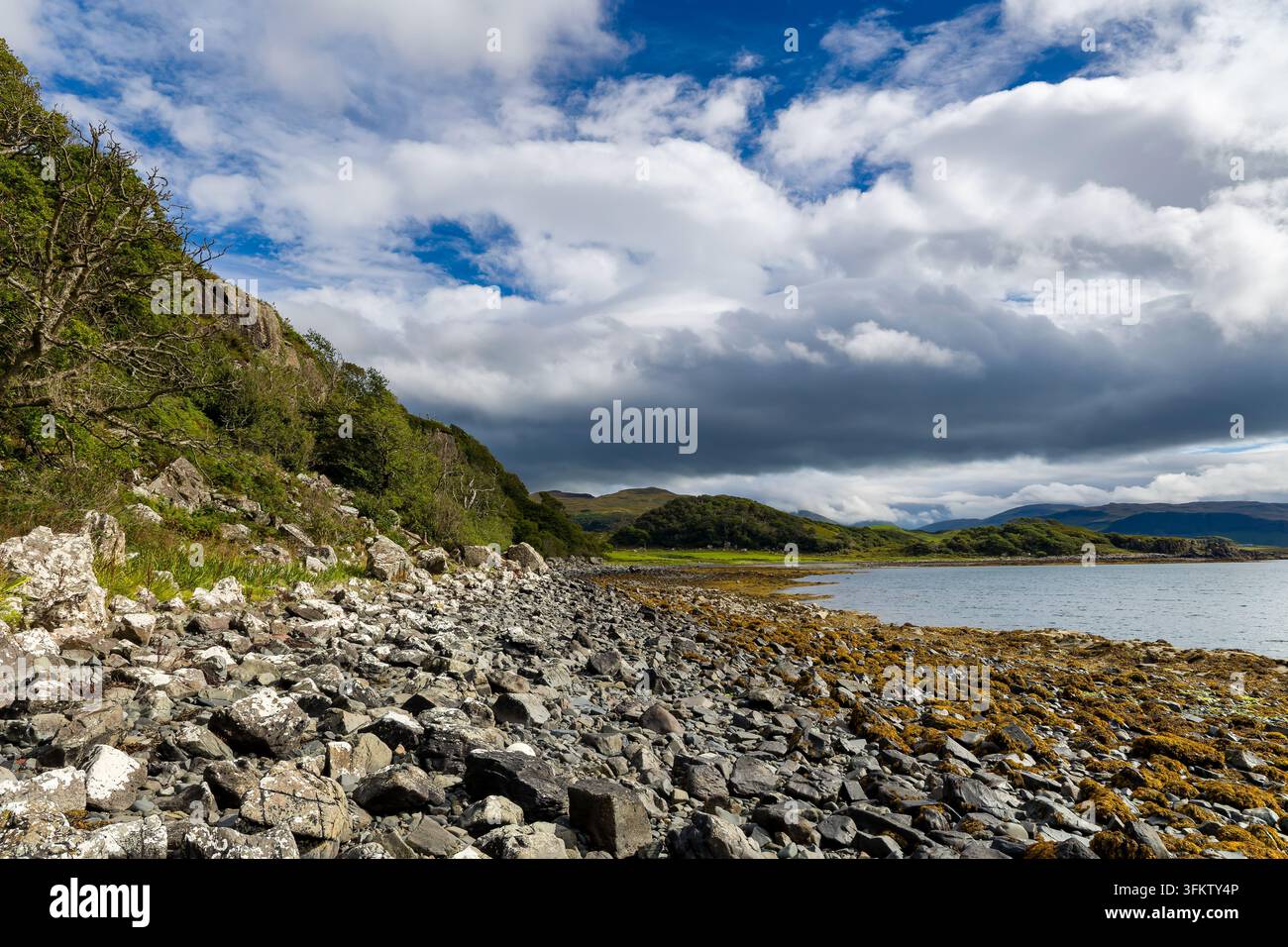 Côte rocheuse le long d'un loch maritime sur l'île de Mull, Écosse, plage rocheuse couverte d'algues brunes sous une colline boisée et un ciel dynamique, vue large Banque D'Images