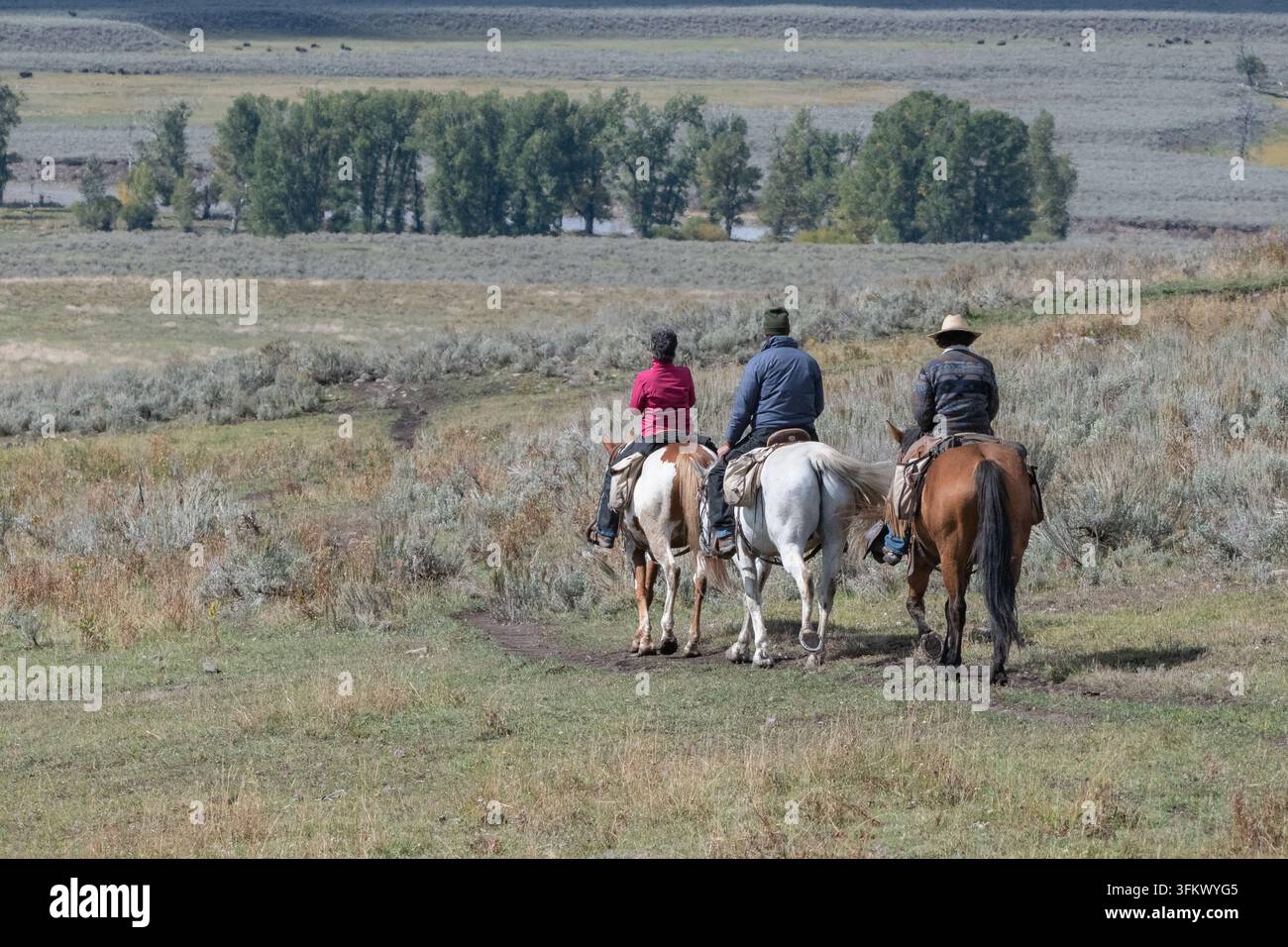 Les cavaliers font une randonnée équestre dans la vallée de Lamar au parc national de Yellowstone, Wyoming. Banque D'Images