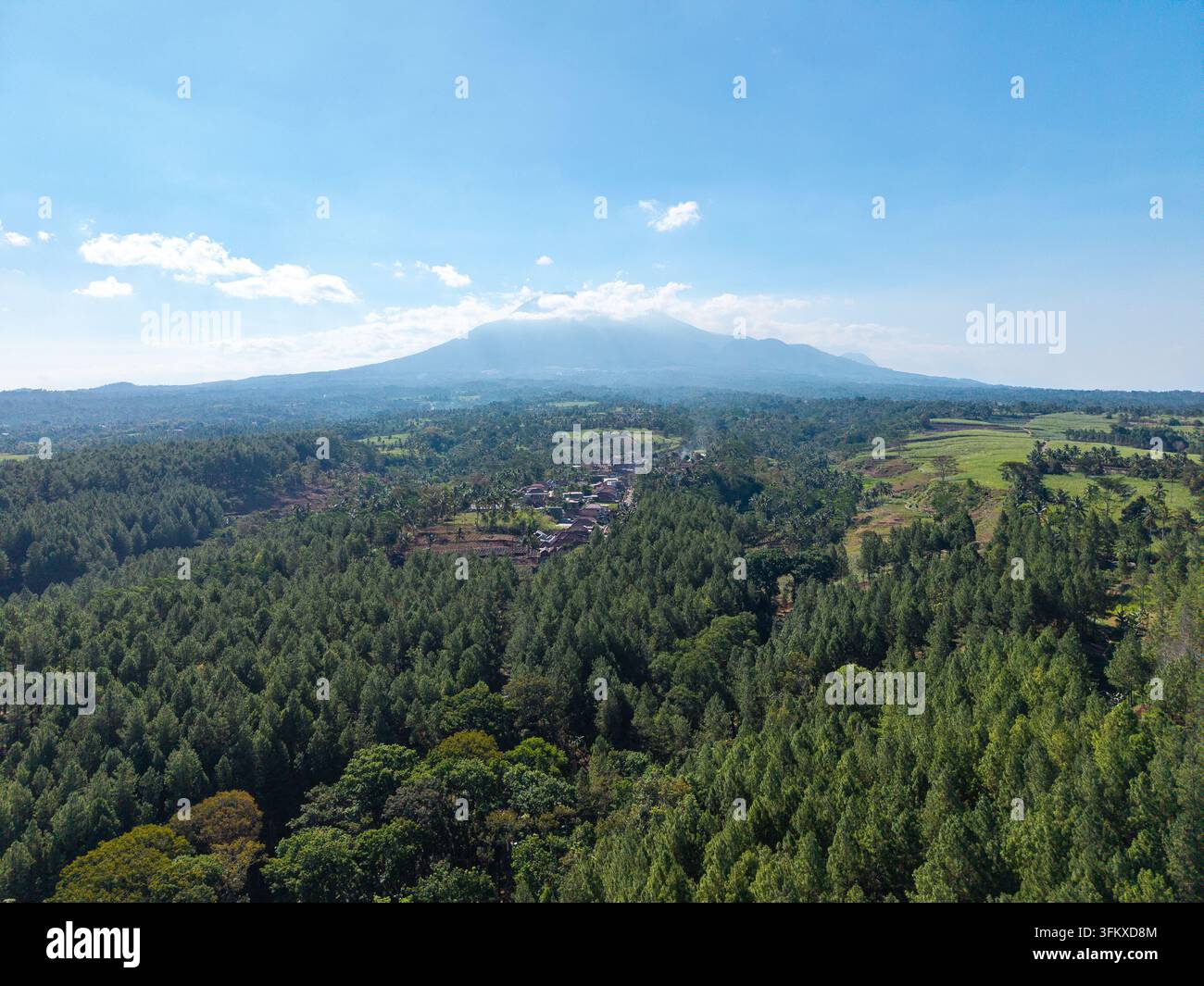 Cette vue aérienne époustouflante capture une vaste forêt verte au premier plan avec le majestueux mont Kawi au loin à Ngajum, Malang Banque D'Images