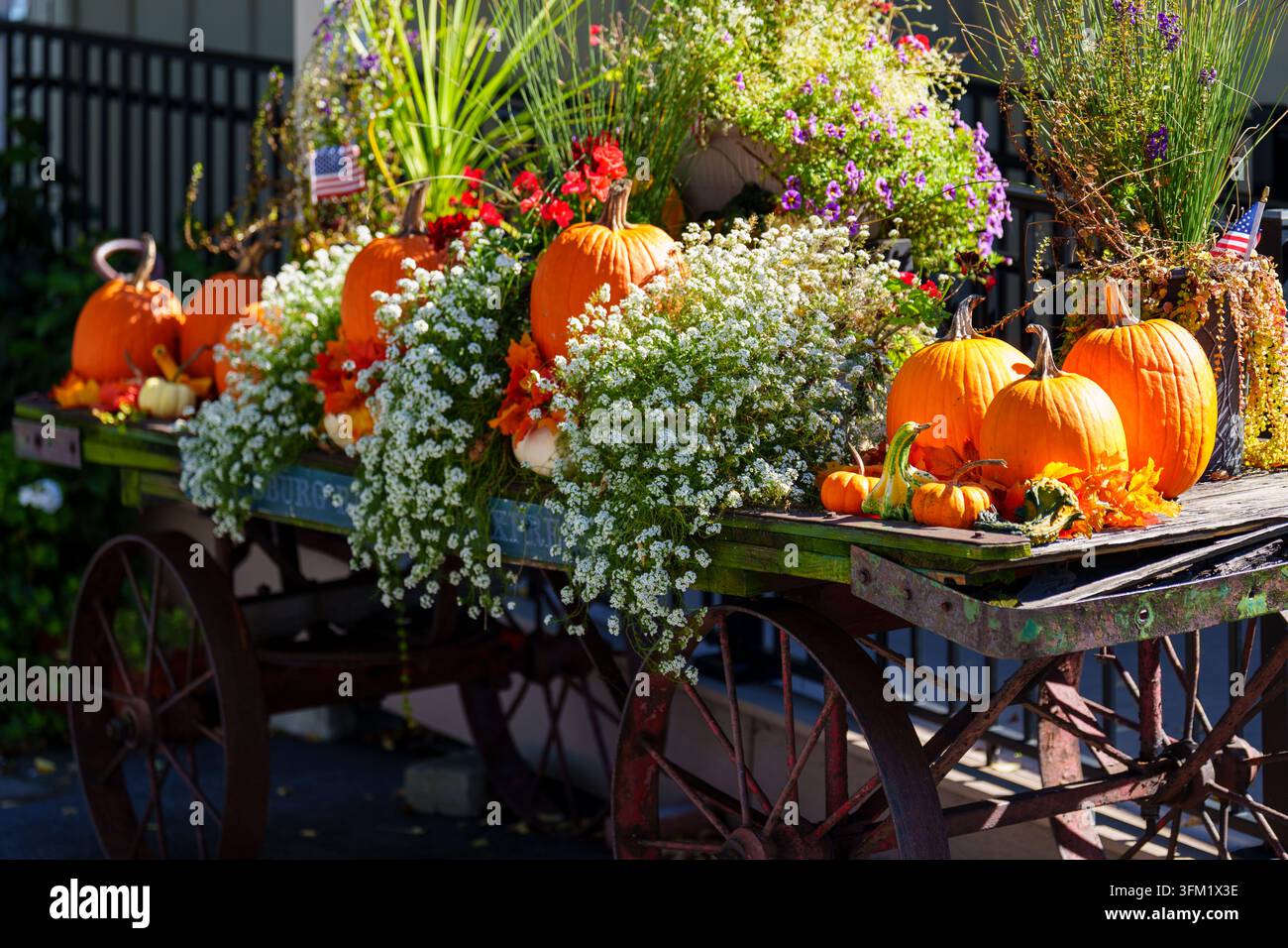 Un chariot est rempli de citrouilles et de fleurs éclatantes dans le comté de Lancaster, en Pennsylvanie. Les décorations automnales sont exposées de manière proéminente. Banque D'Images